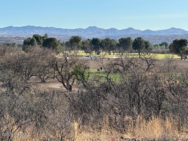 Rio Rico Ranchettes - Land