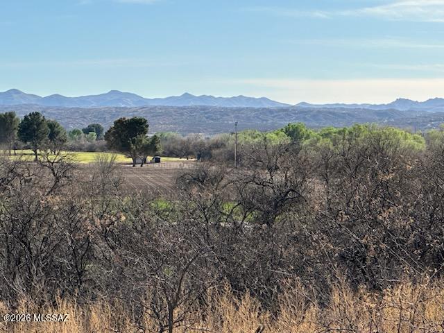 Rio Rico Ranchettes - Land