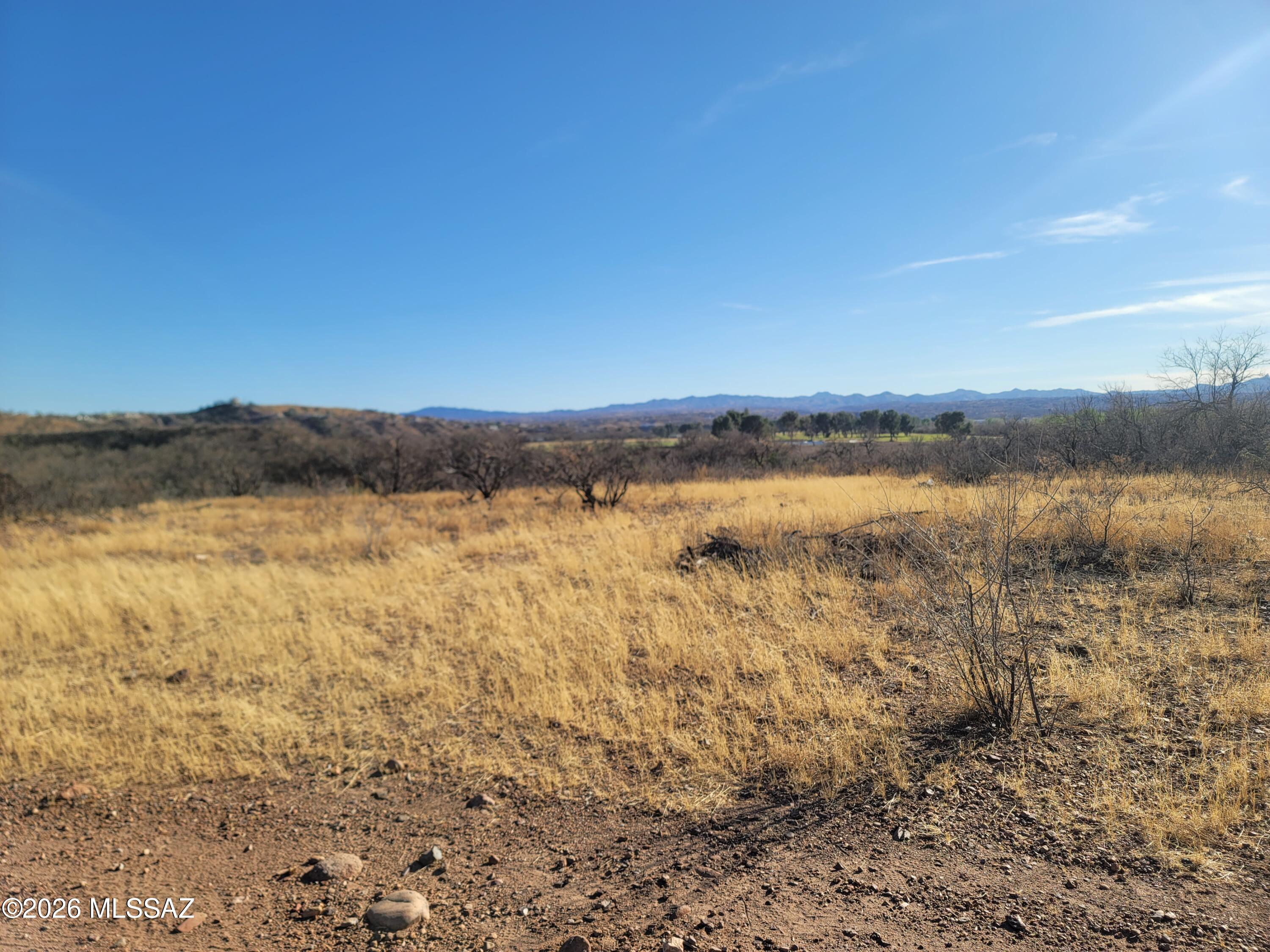 Rio Rico Ranchettes - Land