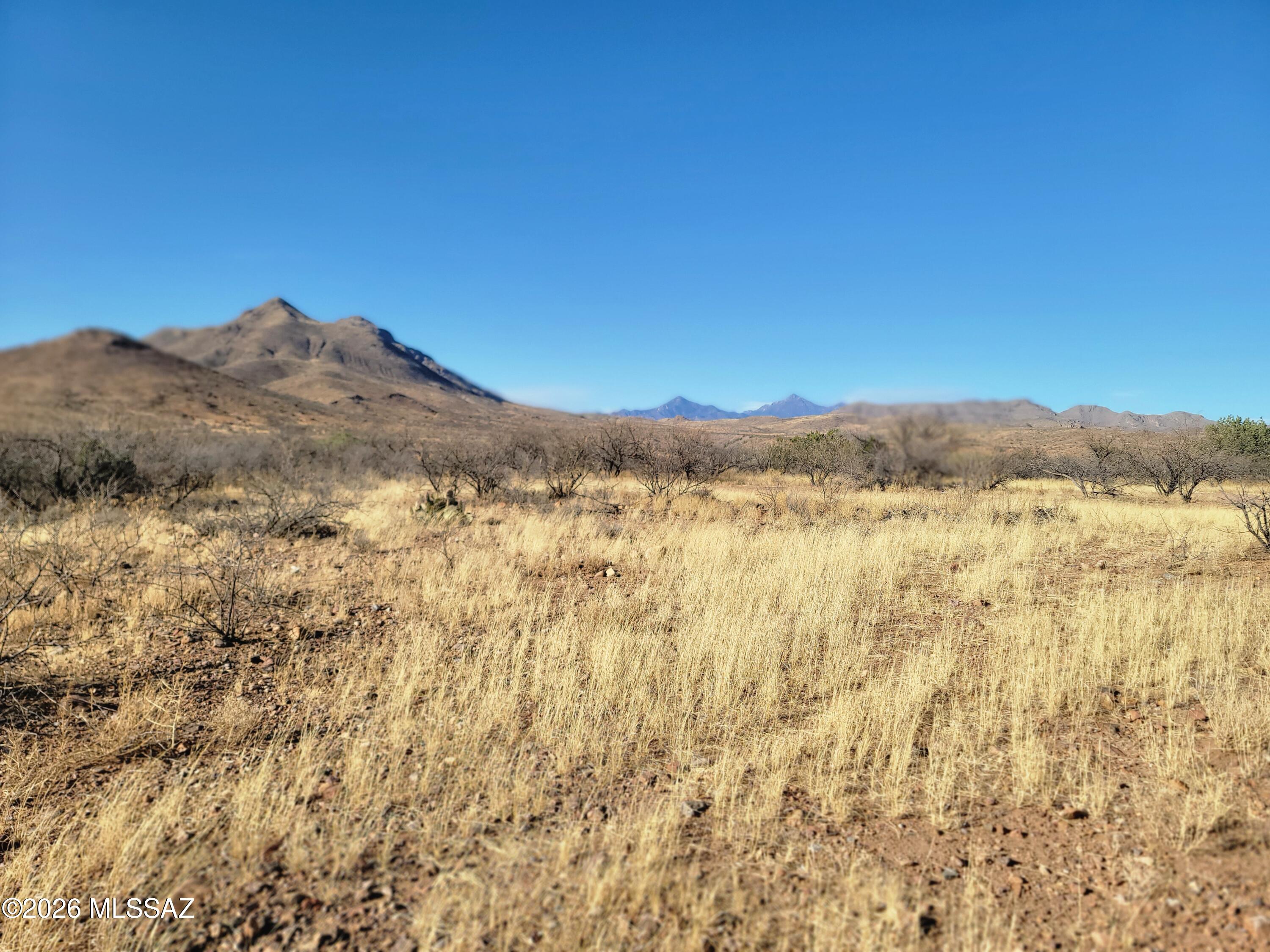 Rio Rico Ranchettes - Land