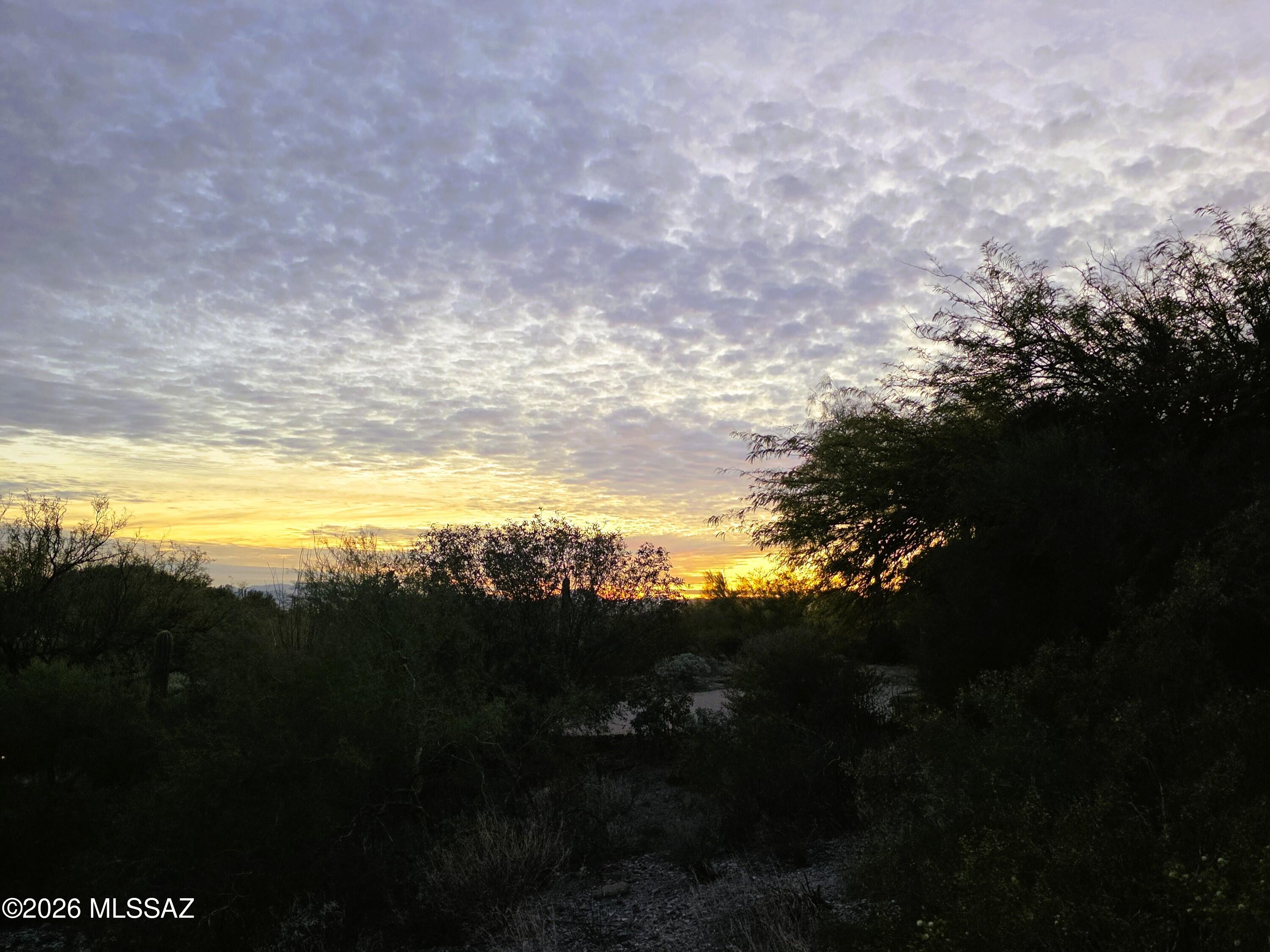 La Paloma Ridge Estates I (1-69) - Land