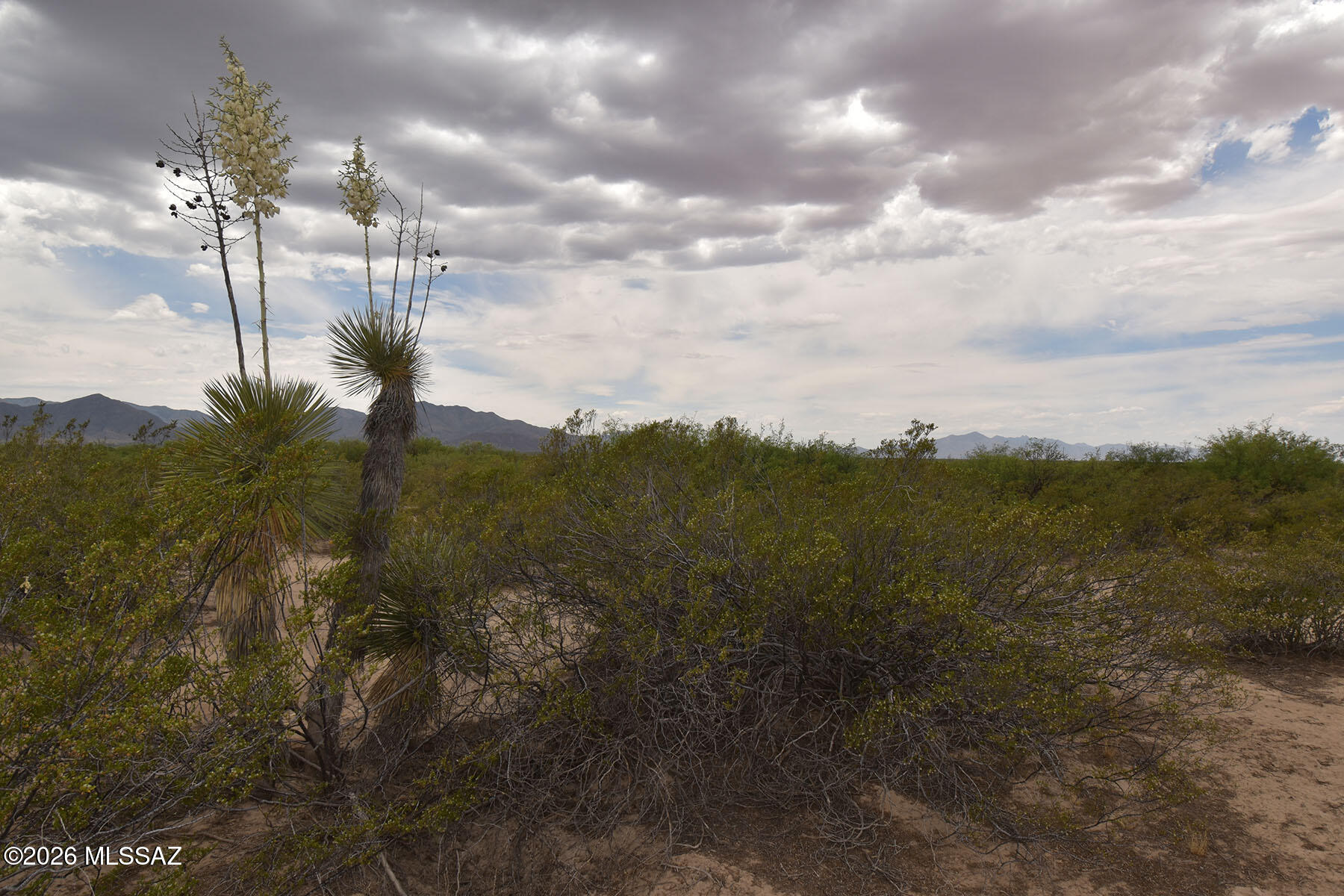 40.7 AC N Parker Road -