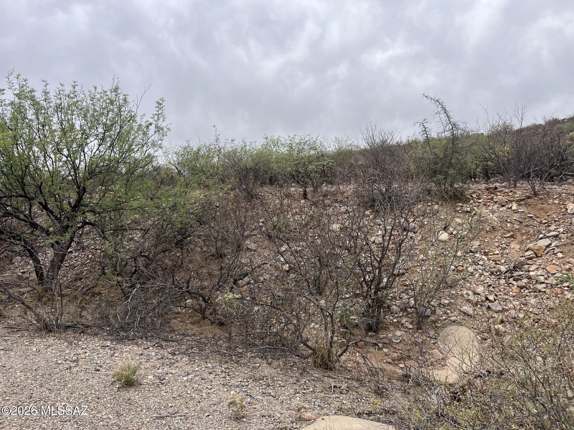 Rio Rico Estates 16 - Land