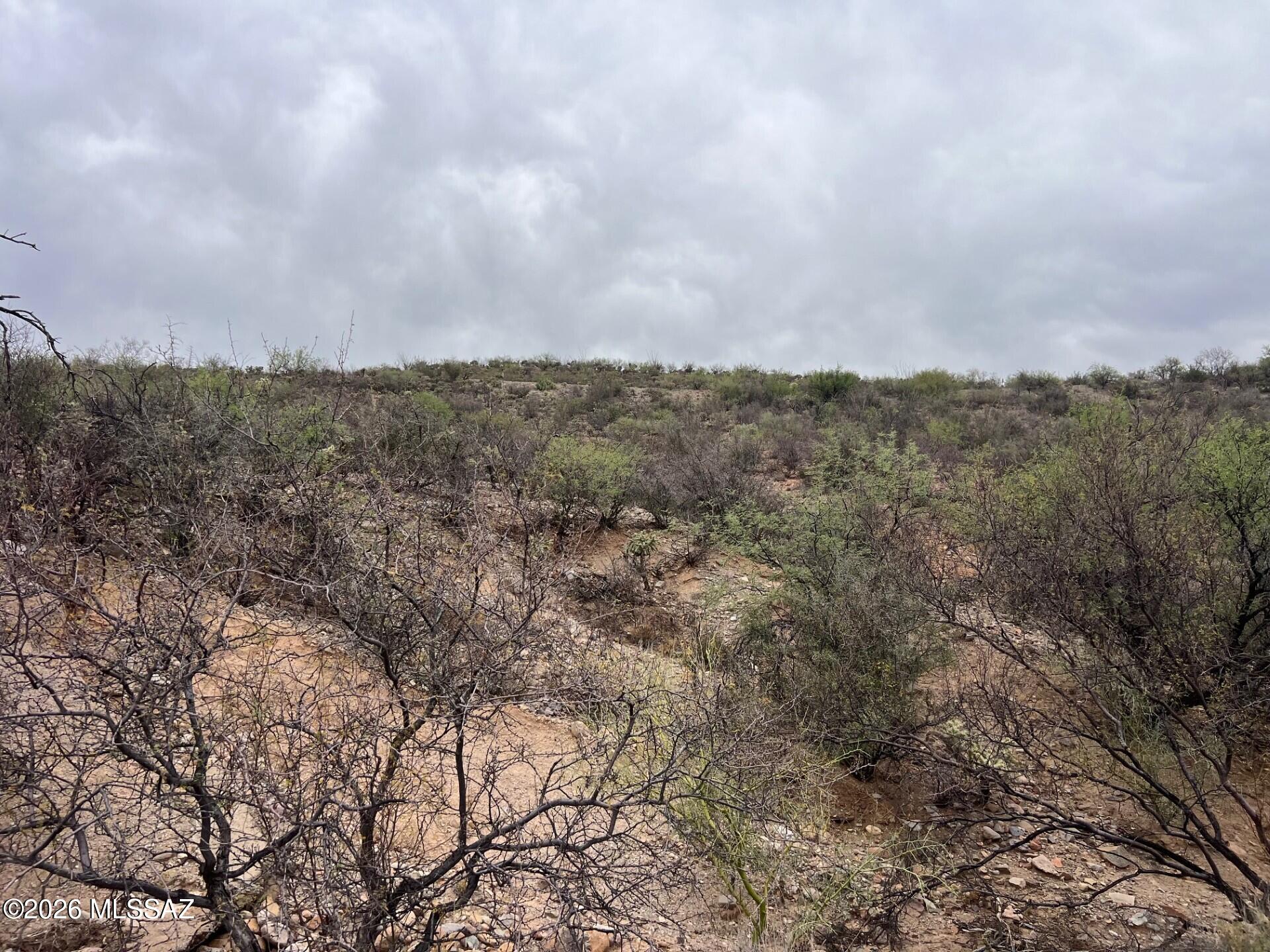 Rio Rico Estates 16 - Land