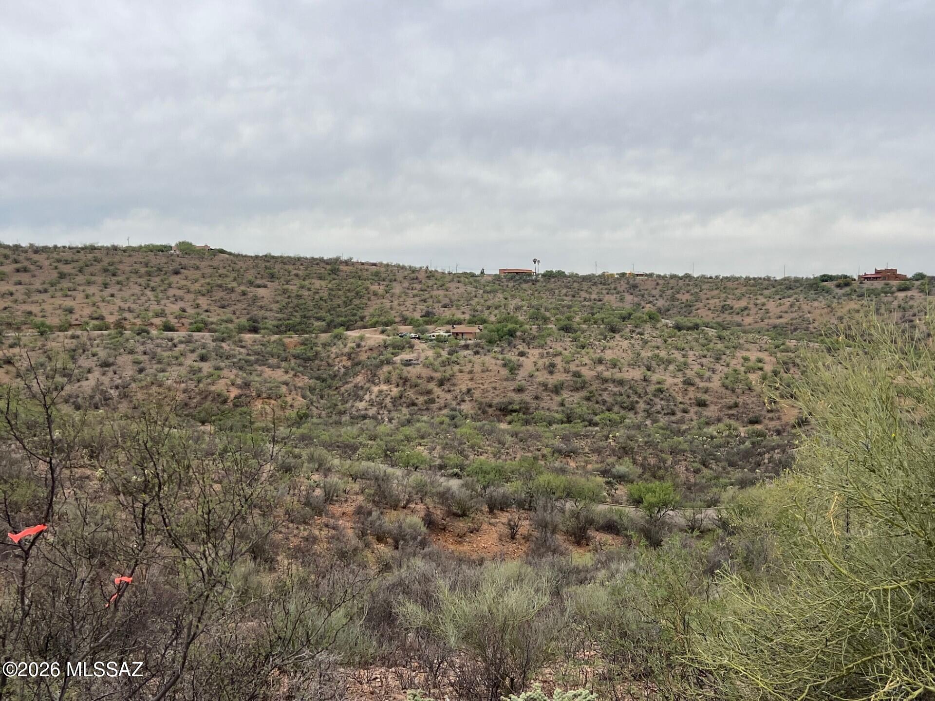 Rio Rico Estates 16 - Land