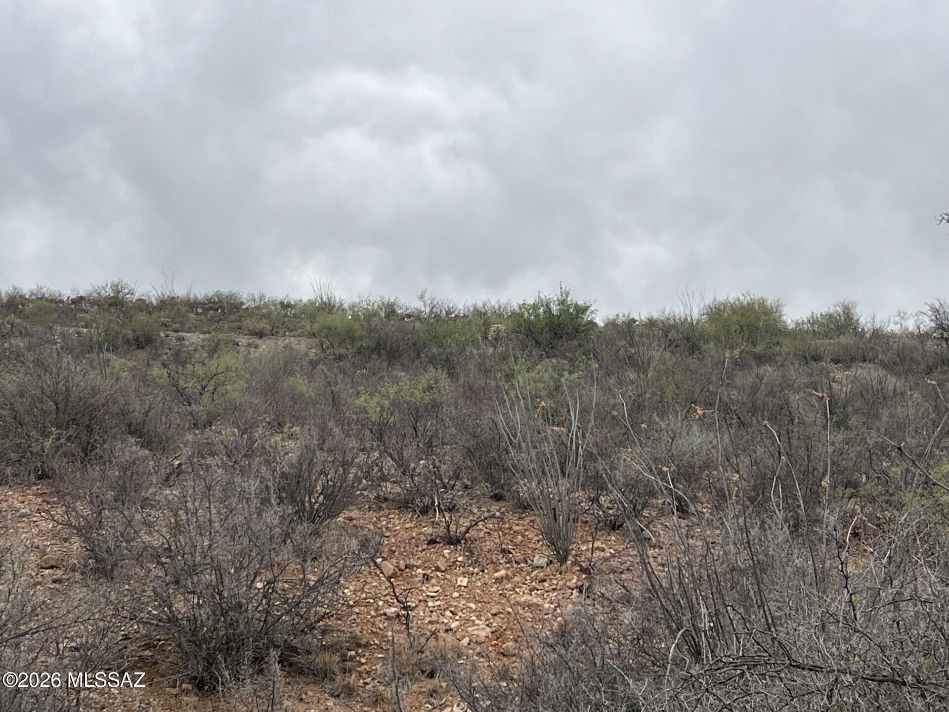 Rio Rico Estates 16 - Land