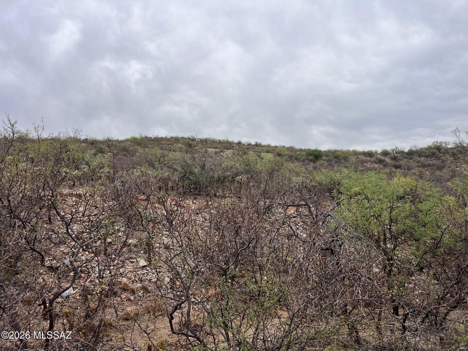 Rio Rico Estates 16 - Land