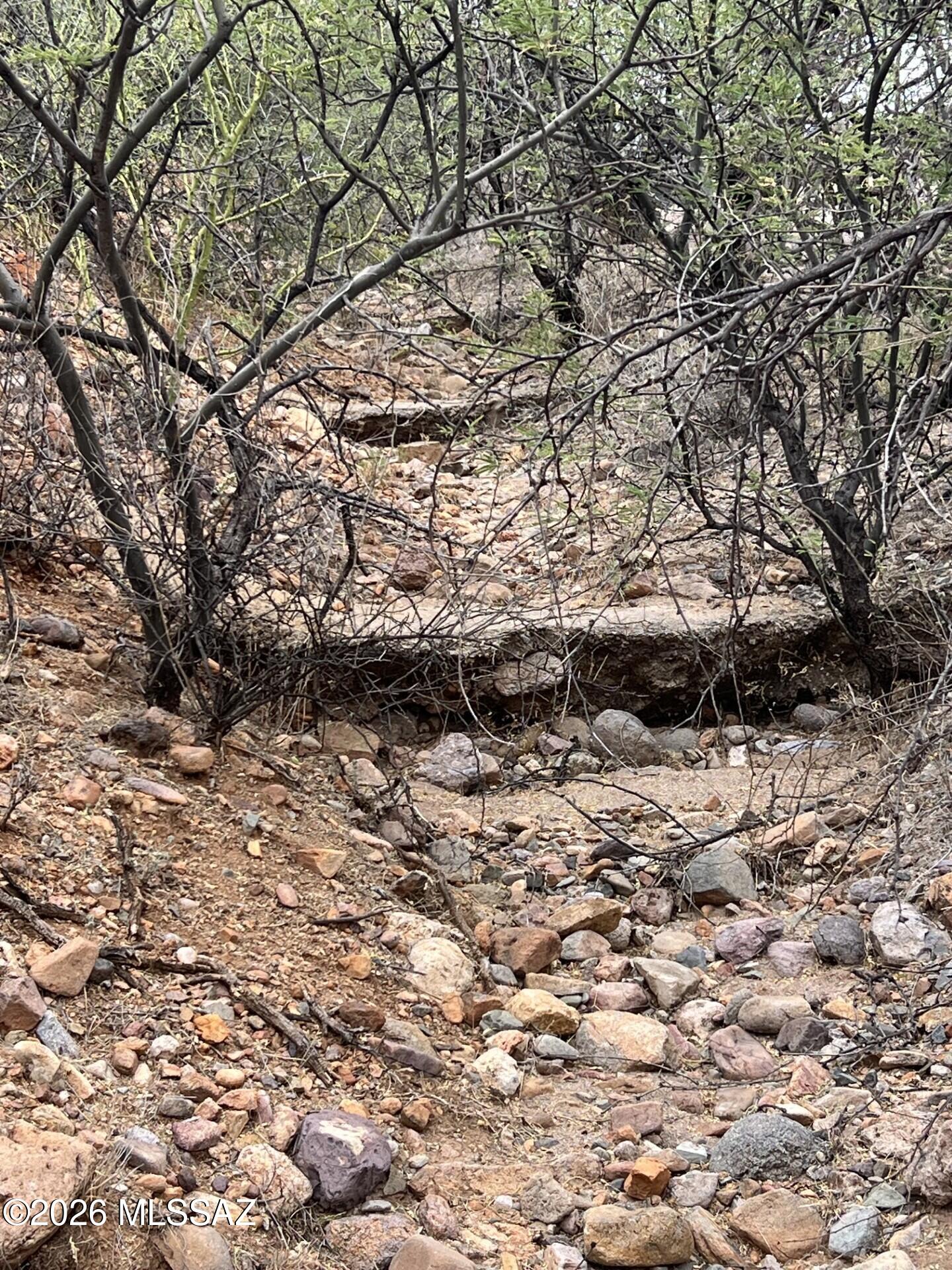 Rio Rico Estates 16 - Land