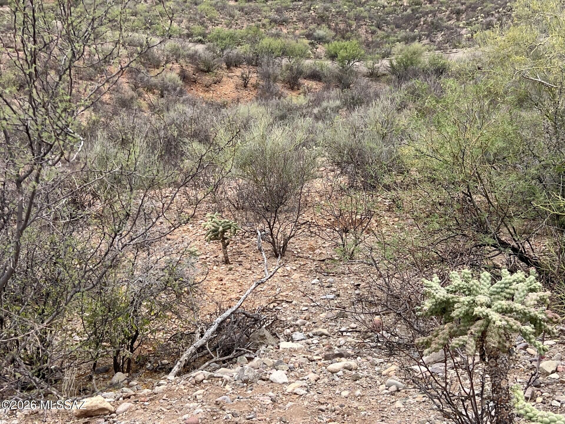 Rio Rico Estates 16 - Land
