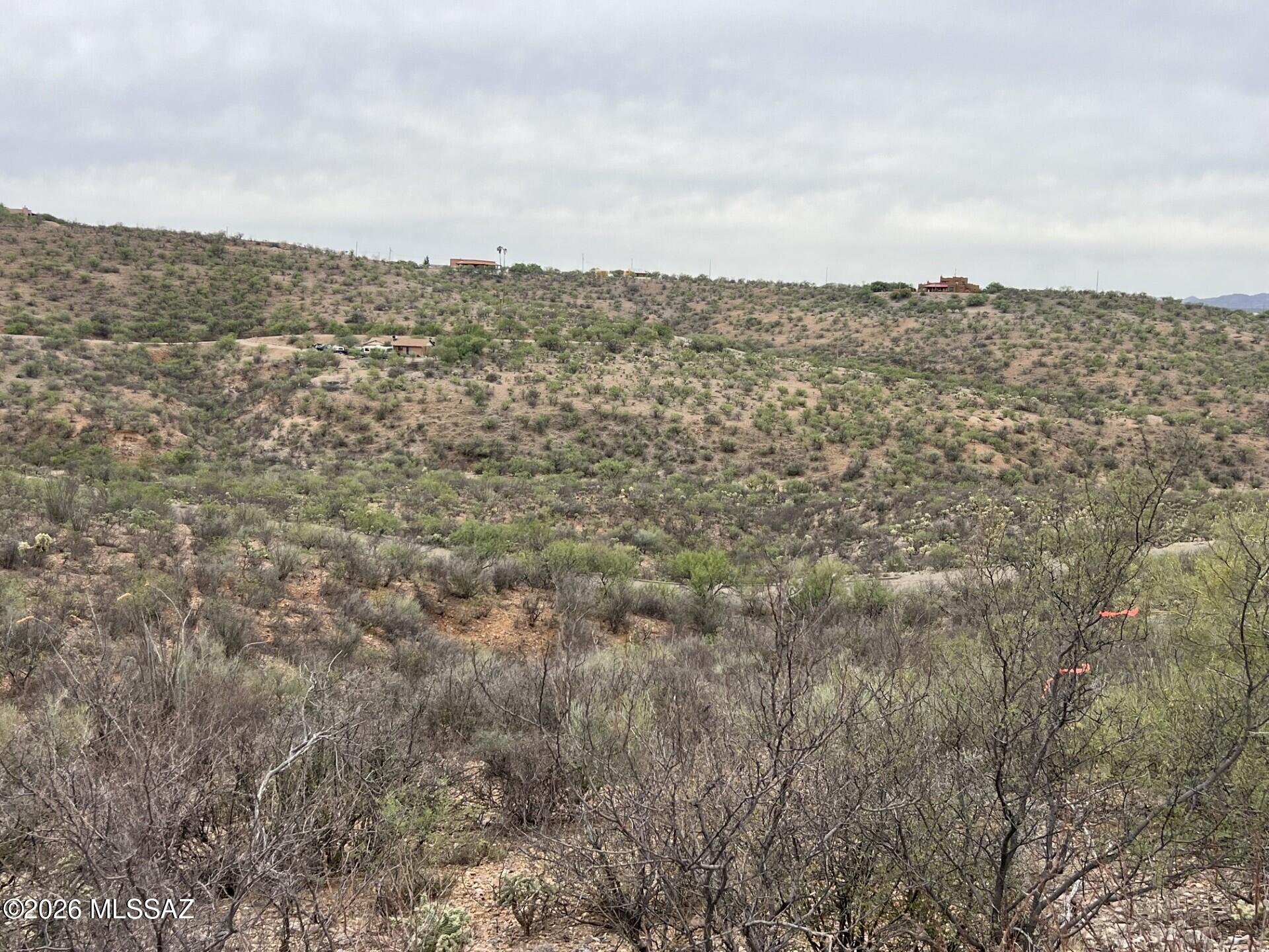 Rio Rico Estates 16 - Land