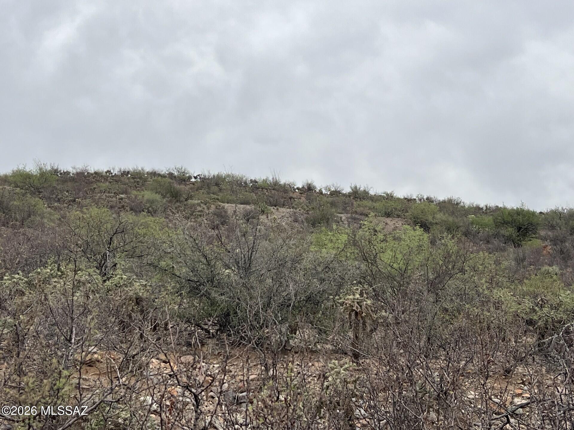 Rio Rico Estates 16 - Land