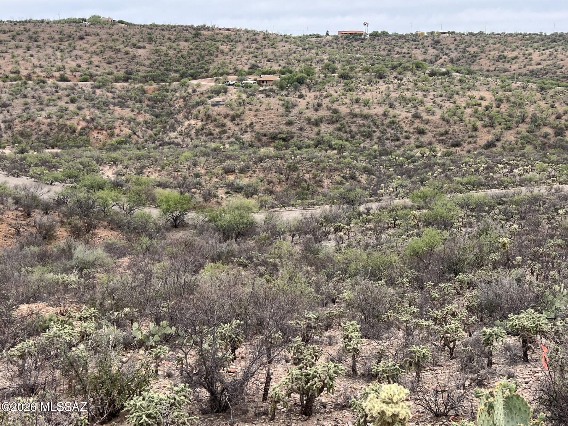 Rio Rico Estates 16 - Land