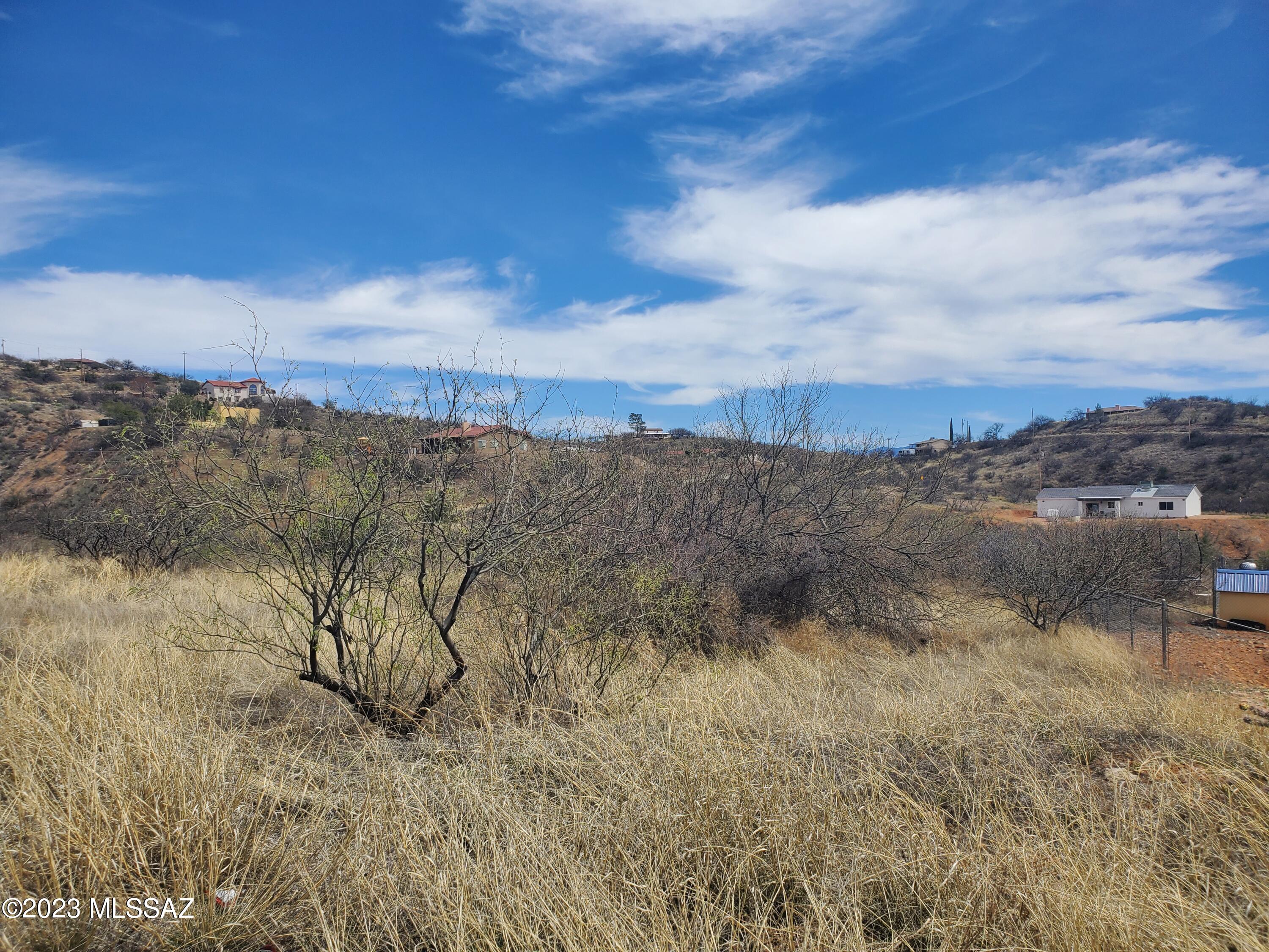 Rio Rico Ranchettes - Land