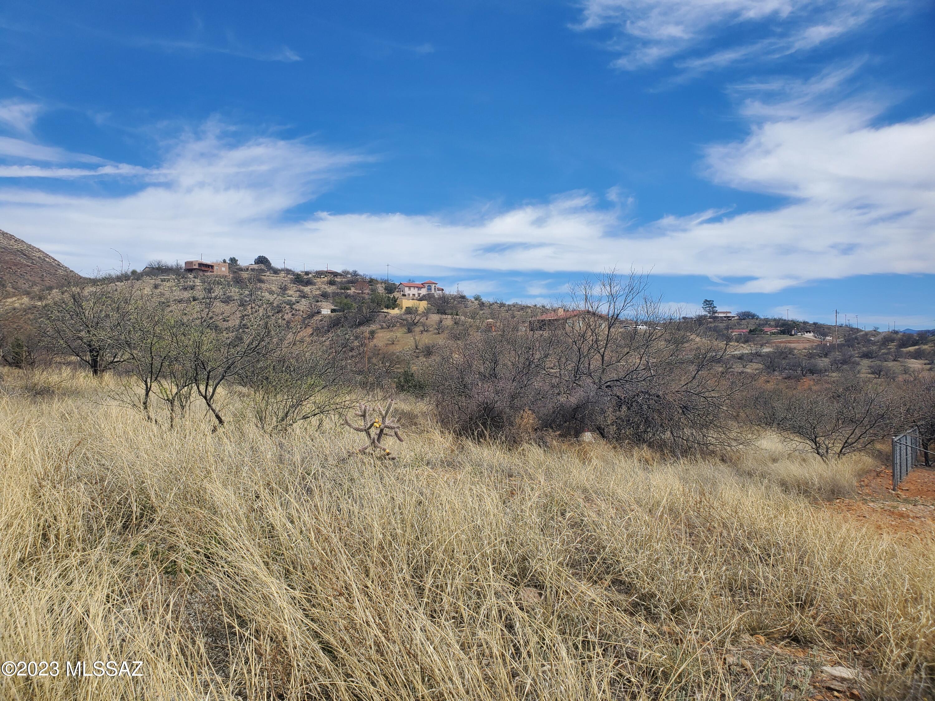 Rio Rico Ranchettes - Land