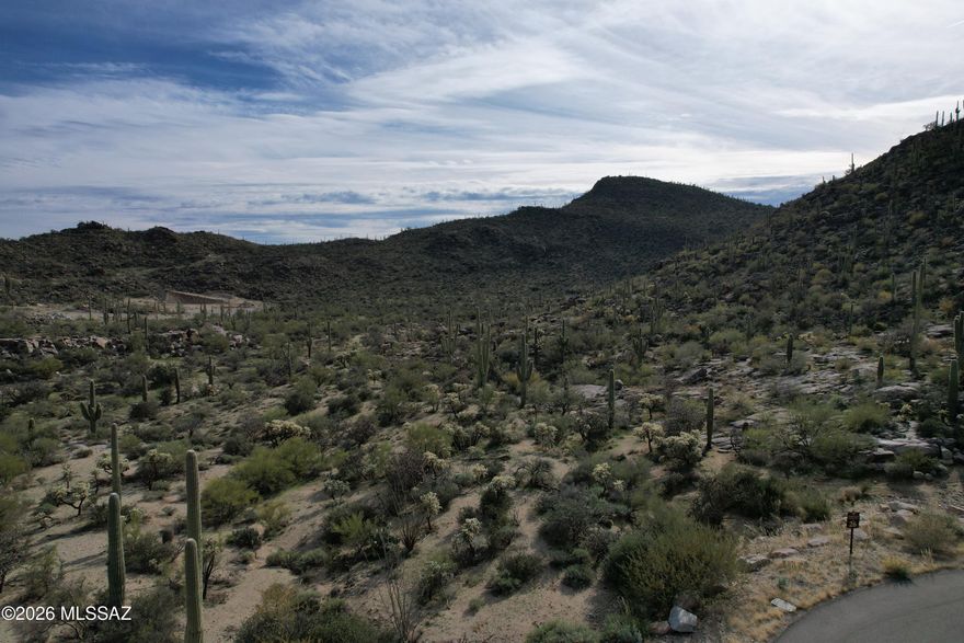 An exceptional opportunity to create a custom residence on this 1.48-acre homesite in Saguaro Ranch, a thoughtfully planned, gated community offering privacy and refined desert living. This premium lot is surrounded by pristine Sonoran Desert, providing peaceful, quiet surroundings and expansive views. Site and development details available