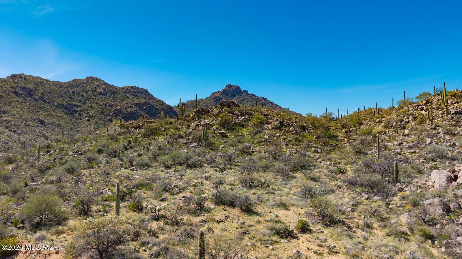 Canyon Pass III At Dove Mountain (111-181) - Land