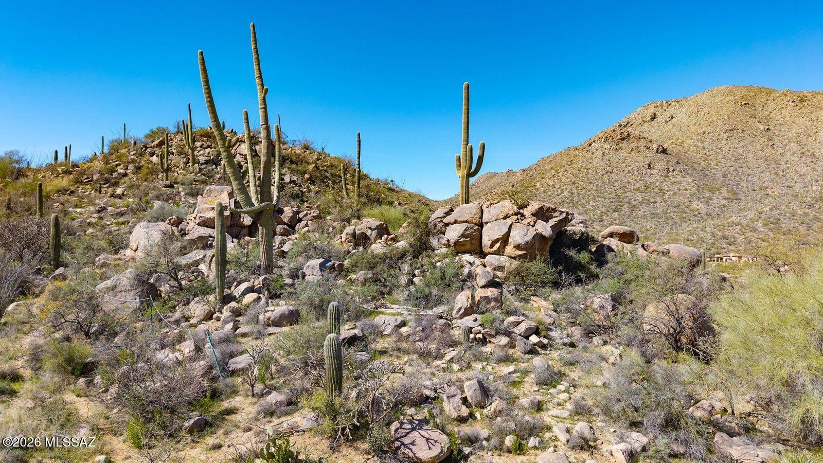 Canyon Pass III At Dove Mountain (111-181) - Land