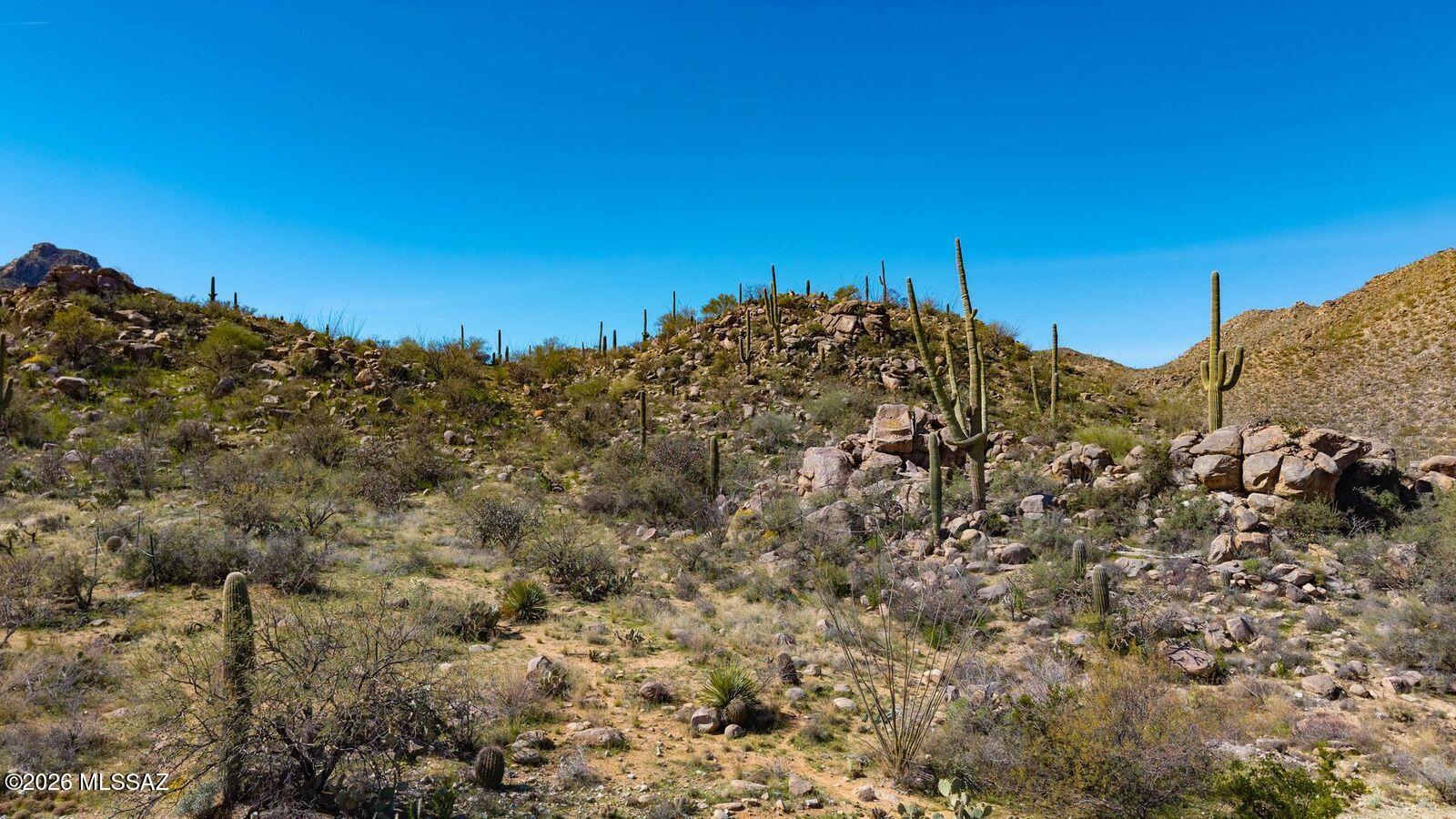 Canyon Pass III At Dove Mountain (111-181) - Land