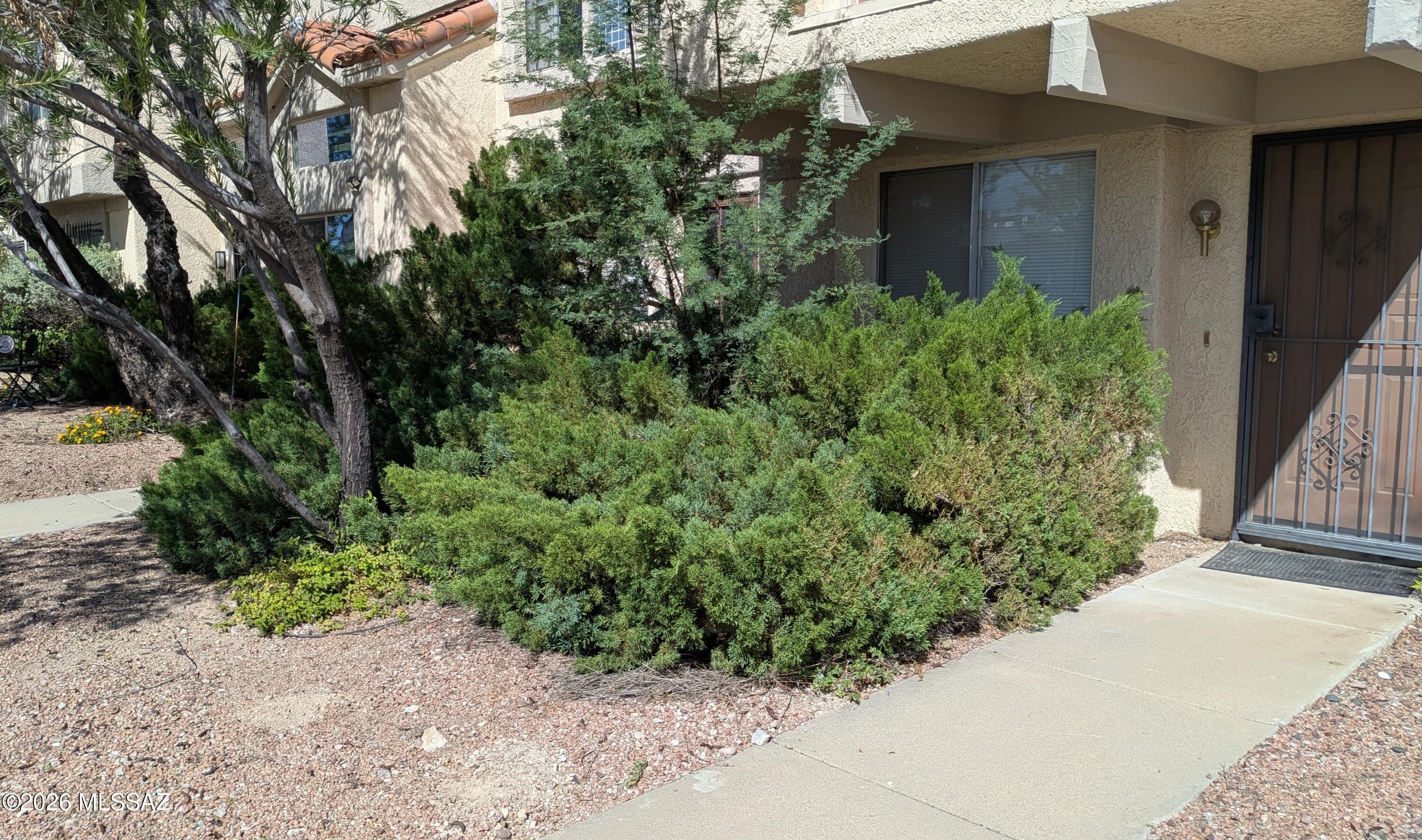 2749 W Avenida Azahar