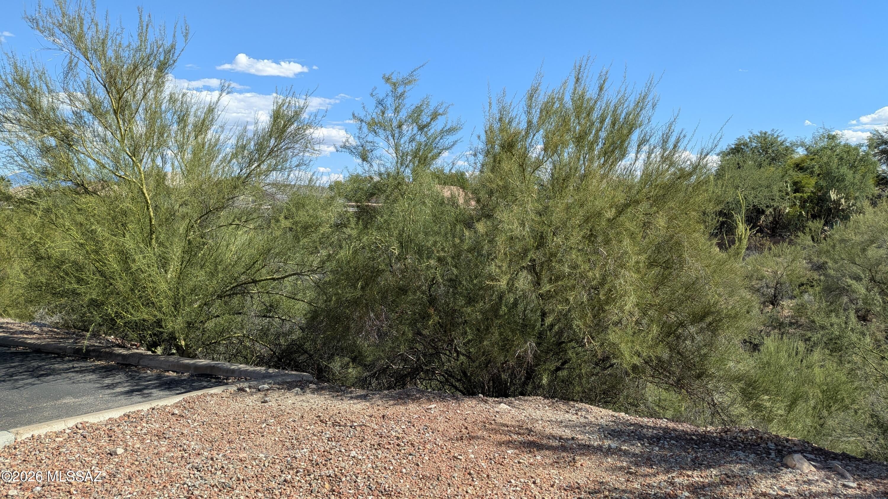 2749 W Avenida Azahar
