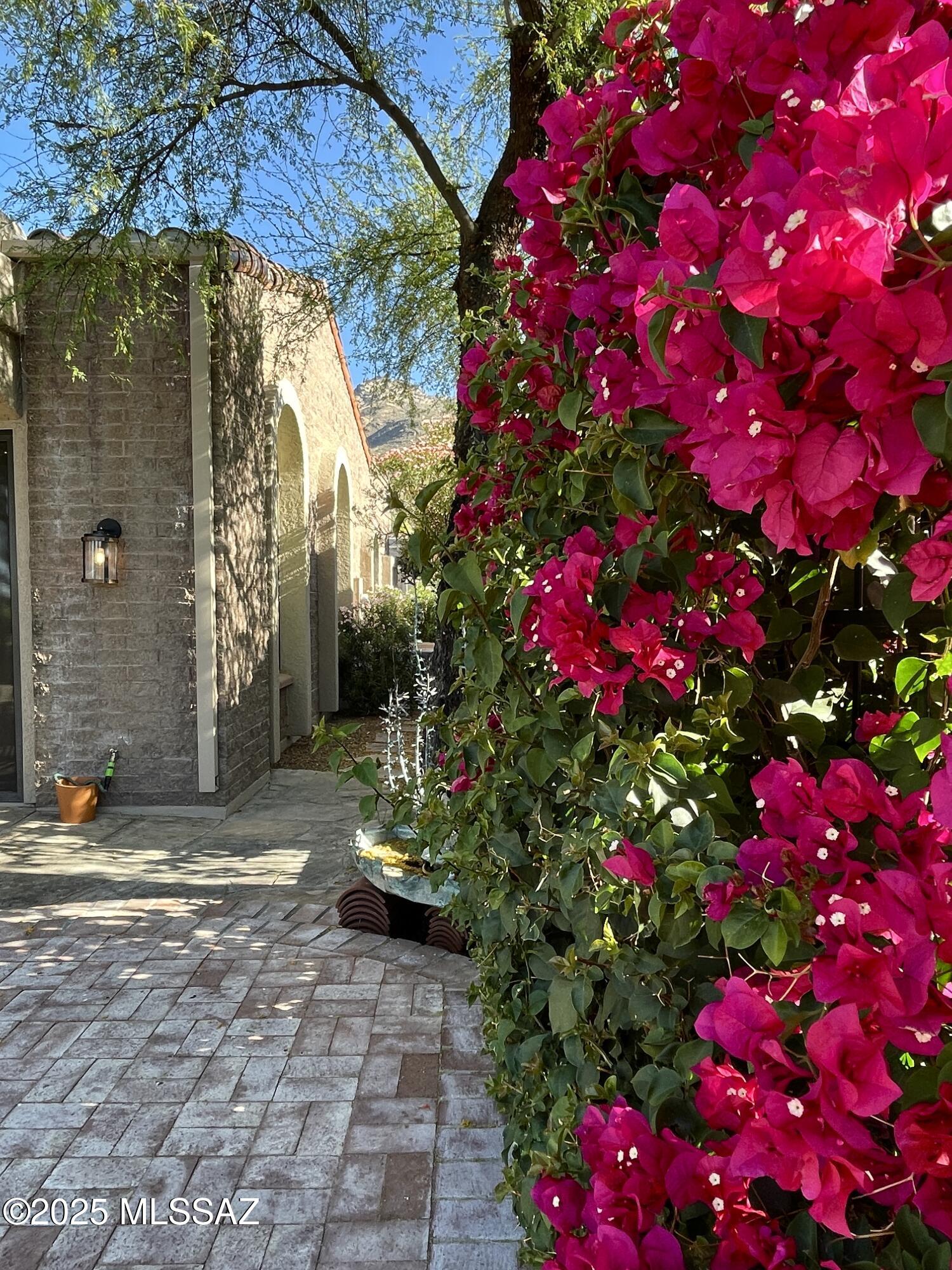 Ventana Serena (1-46) - Residential Lease