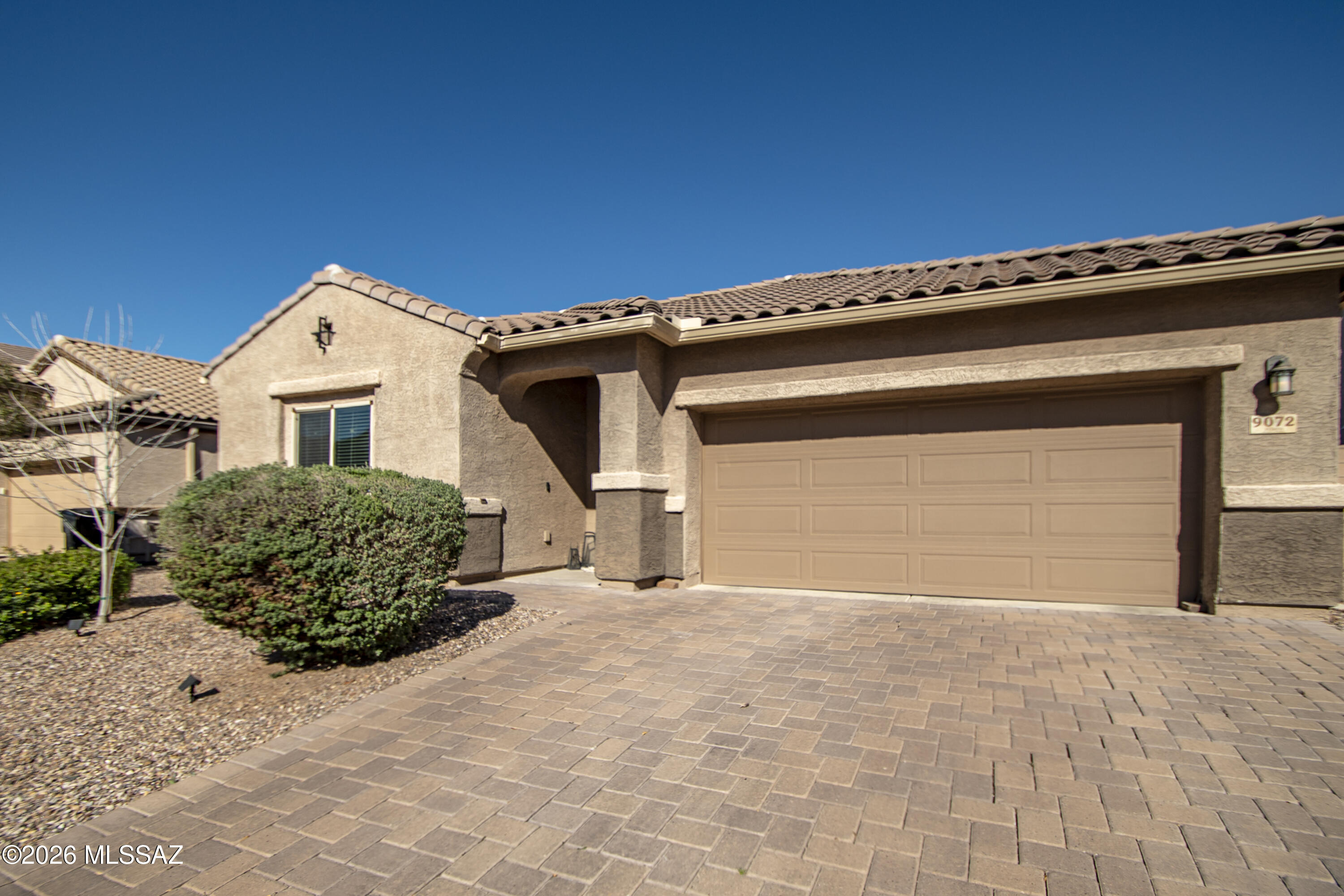 Saguaro Bloom 7A - Residential