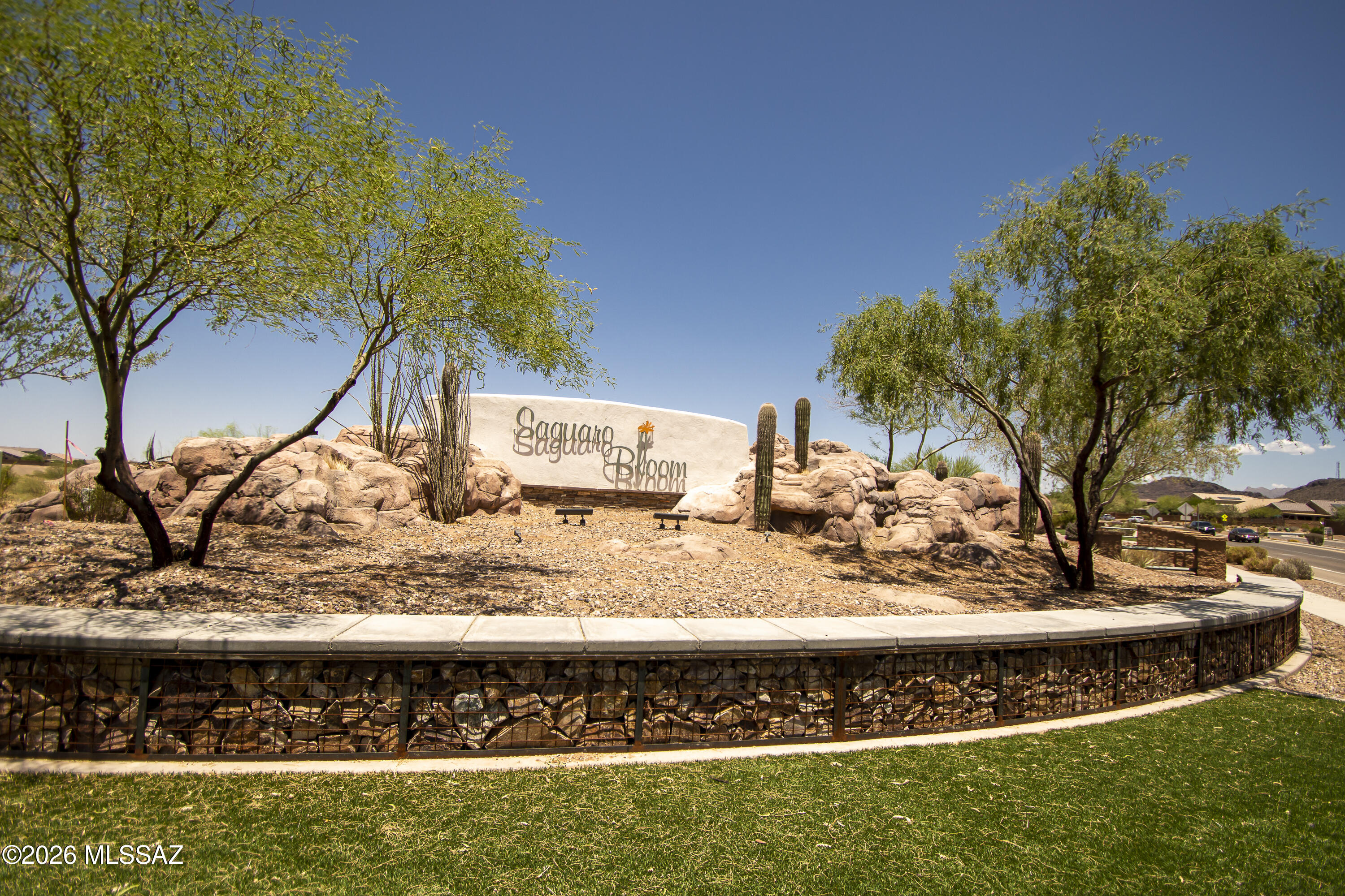 Saguaro Bloom 7A - Residential