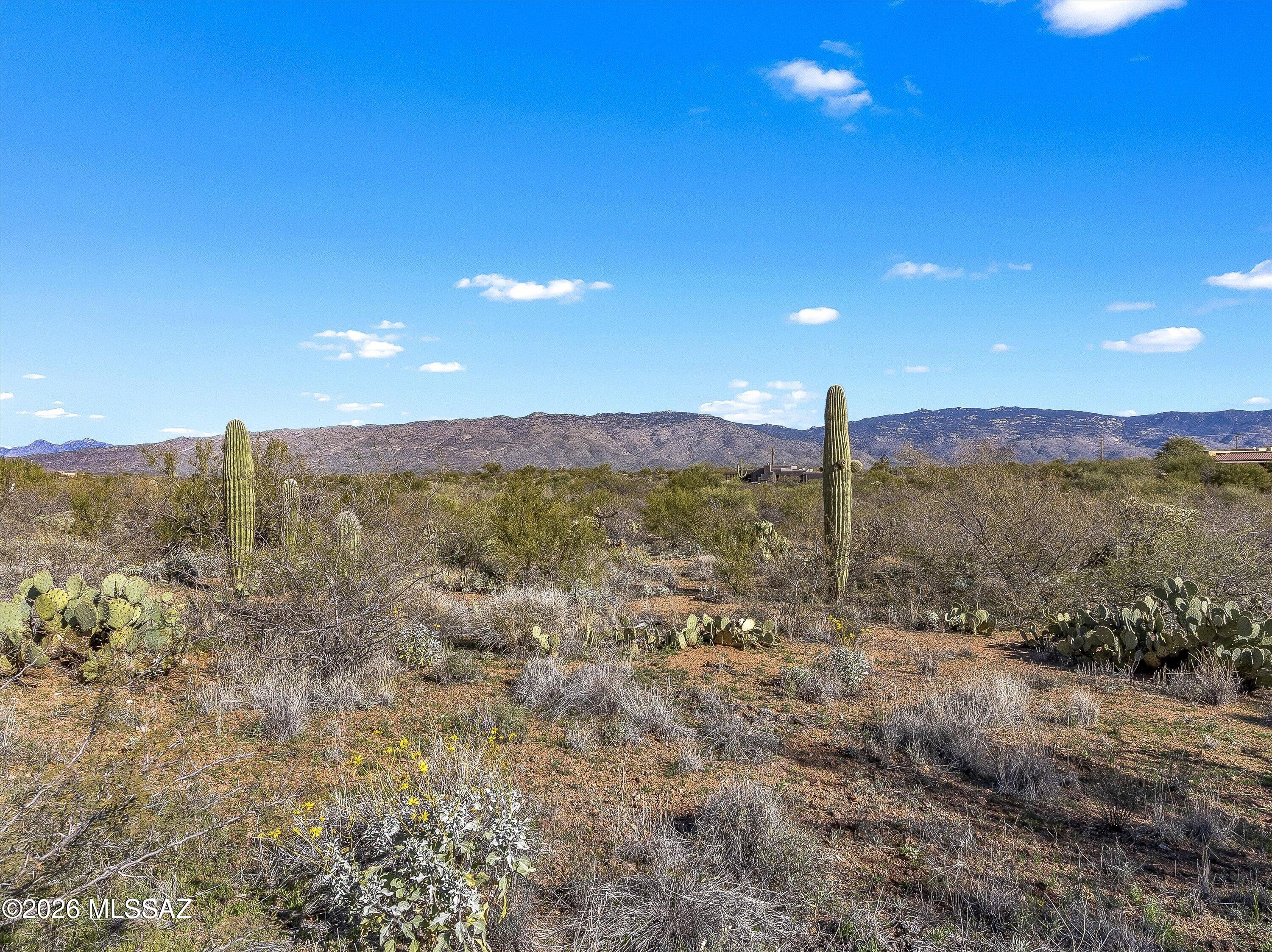 Mountain Creek Ranch (1-64) - Land