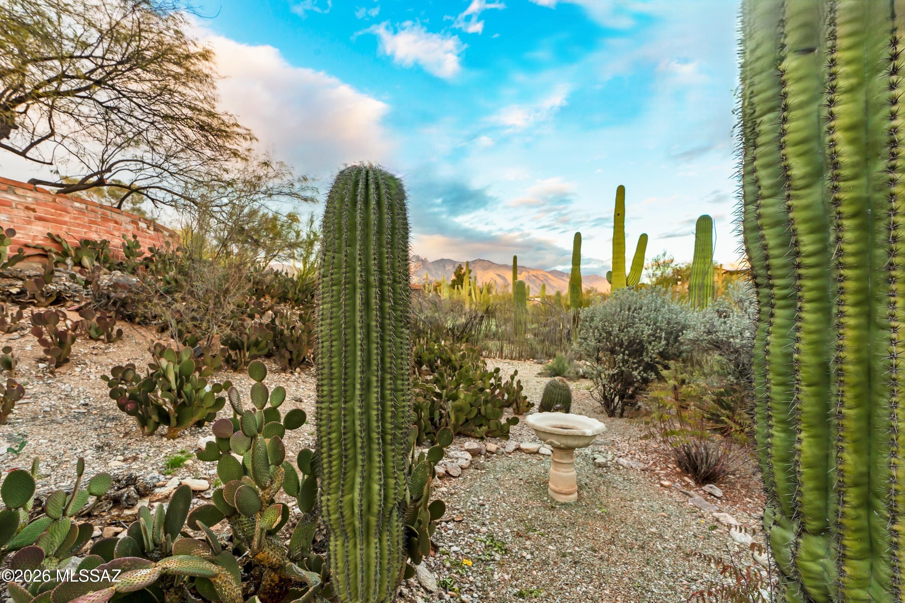 Catalina Foothills Estates NO. 7 (44-120) - Residential