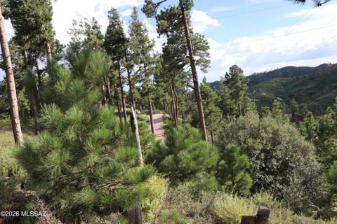 12718 N Upper Loma Linda Road 40 Mt. Lemmon AZ 85619