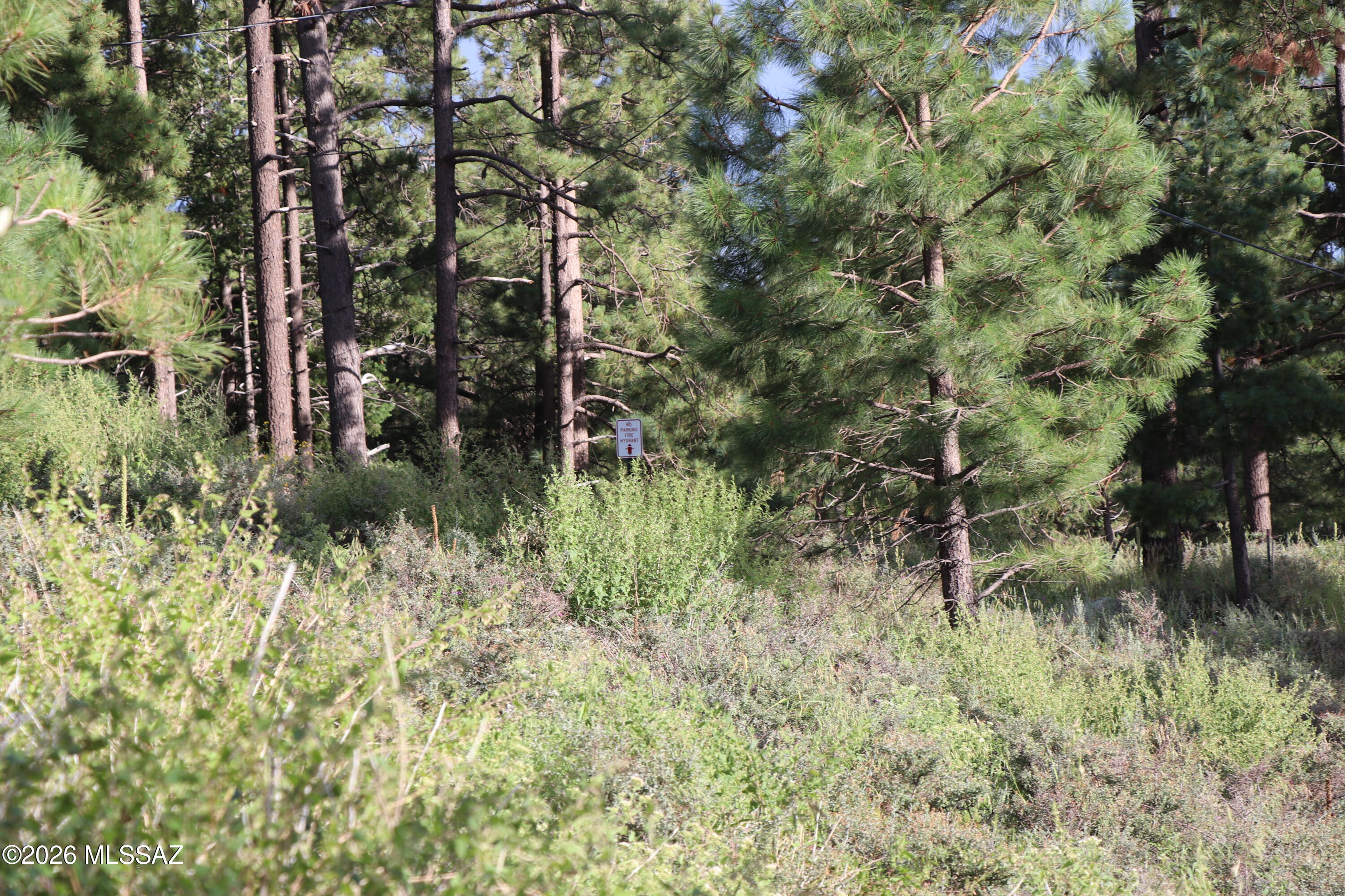 12718 N Upper Loma Linda Road 40