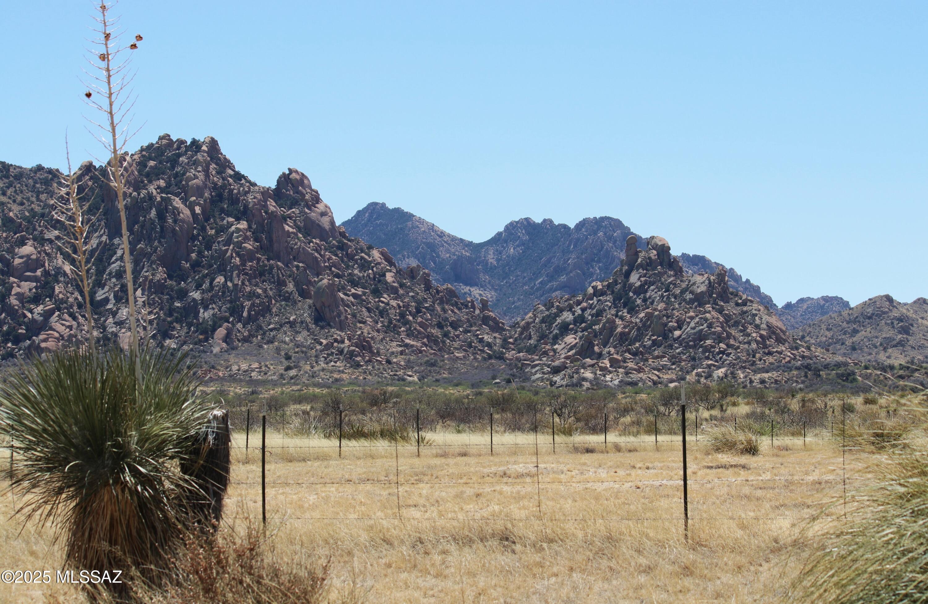 Dragoon Mountain Ranch - Land
