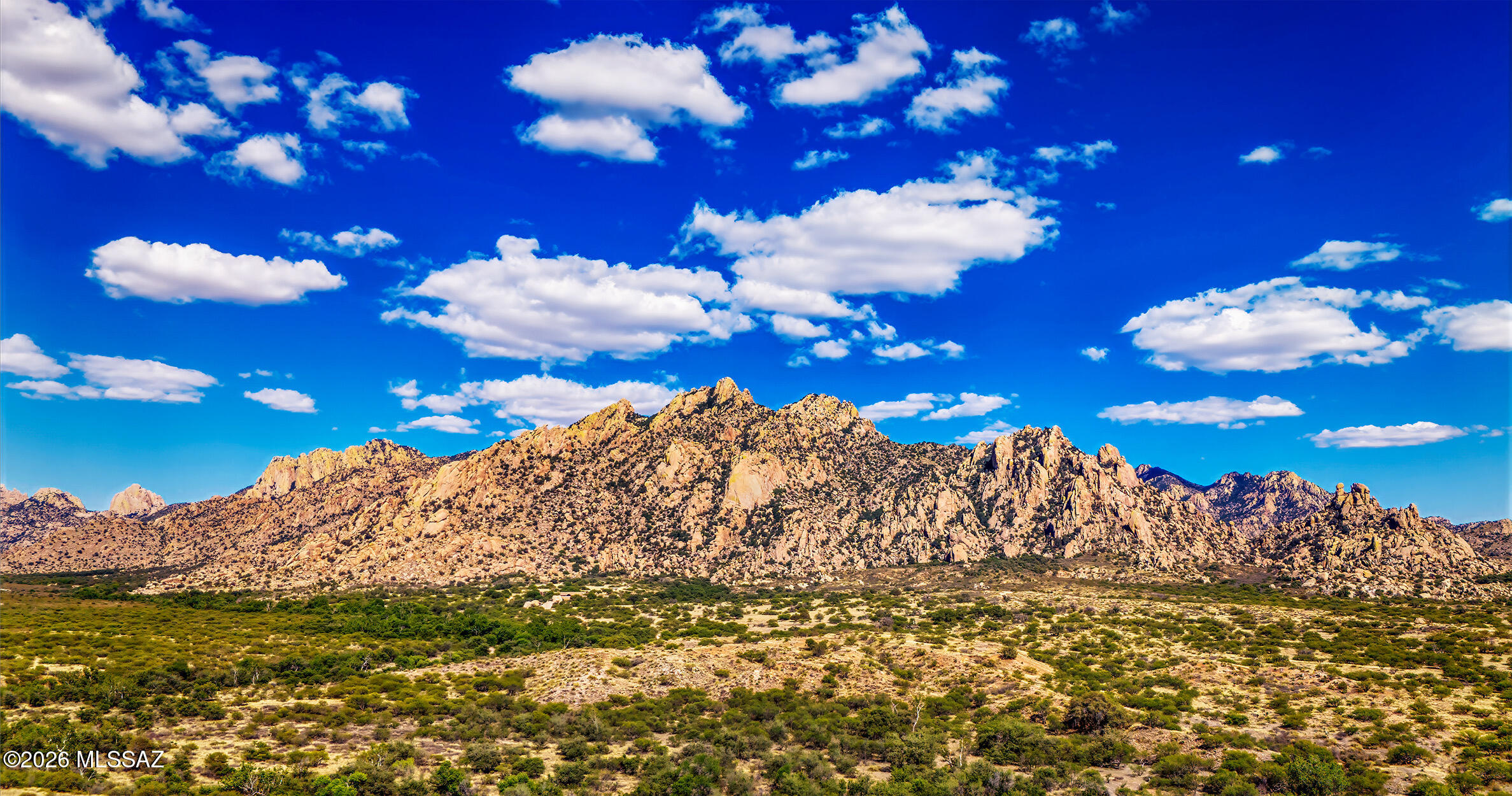 Dragoon Mountain Ranch - Land