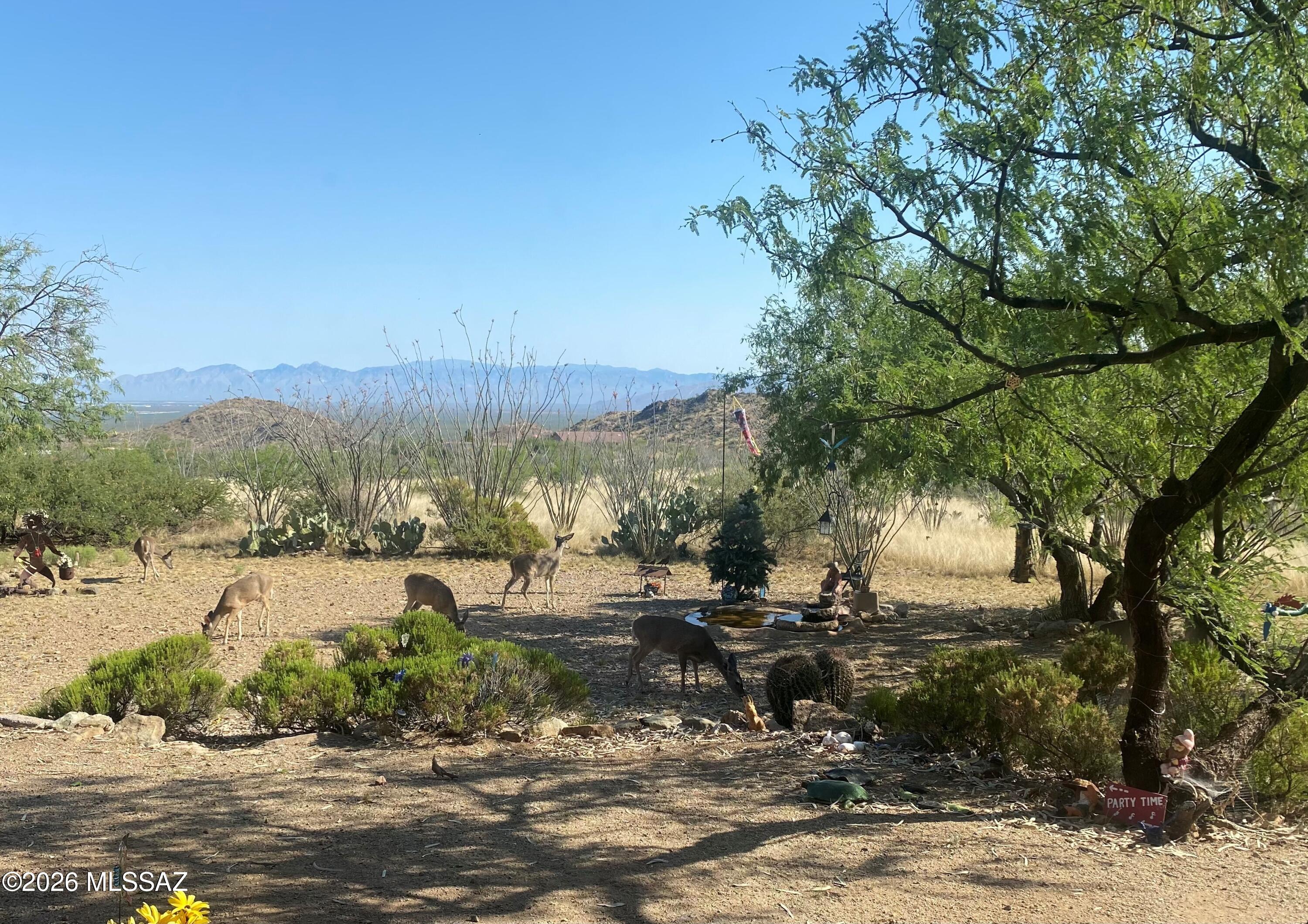 17963 S Via Del Minero