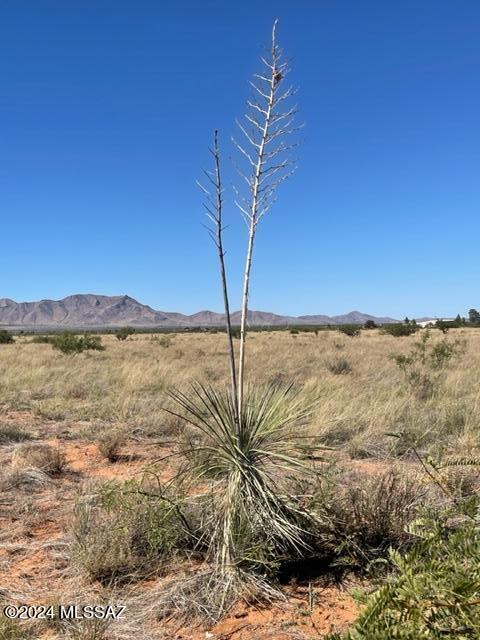 Arizona Sun Sites - Land