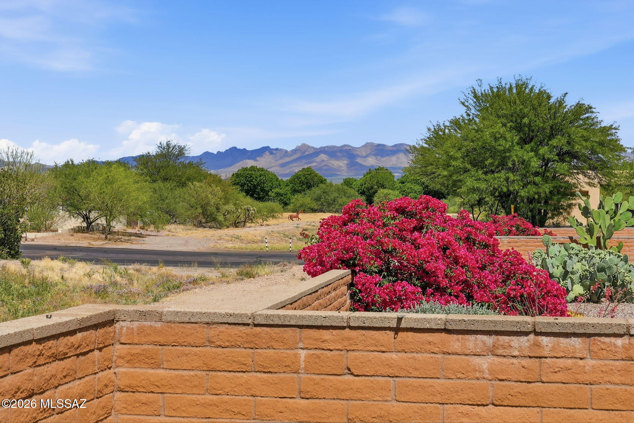 Green Valley Desert Meadows NO.3(1-223) - Residential