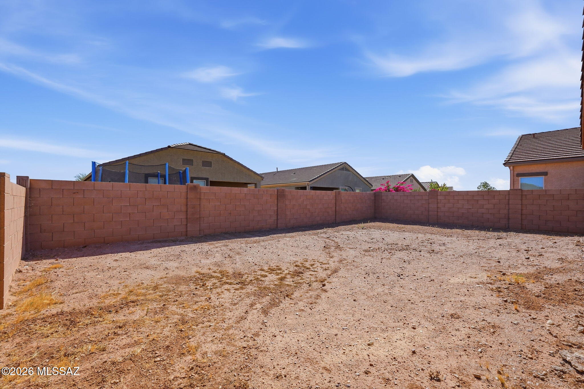 Saguaro Bloom SQ20180540069 - Residential