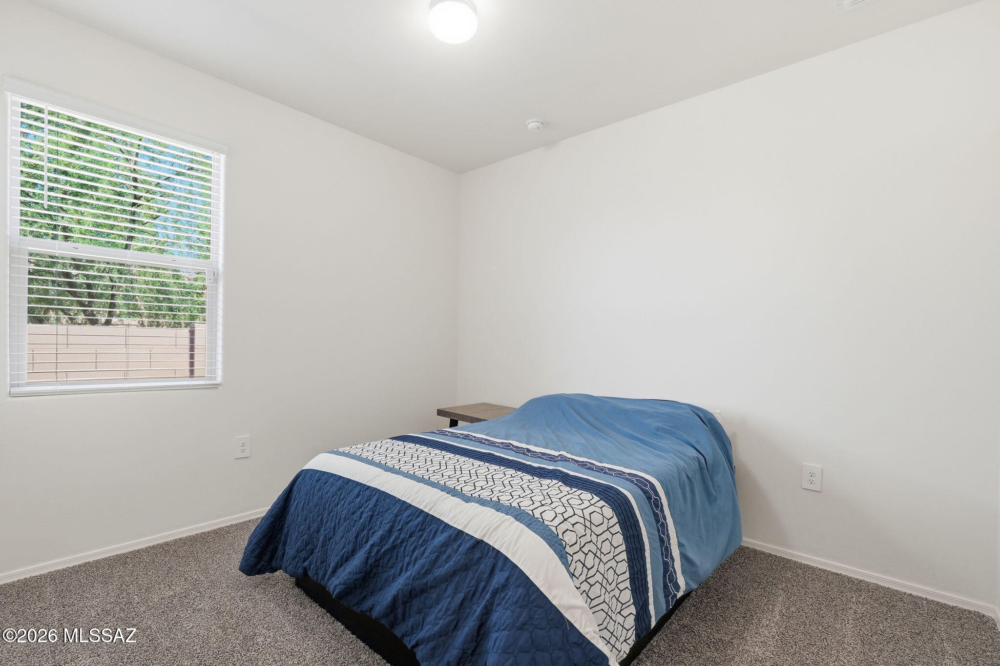 Saguaro Bloom SQ20180540069 - Residential