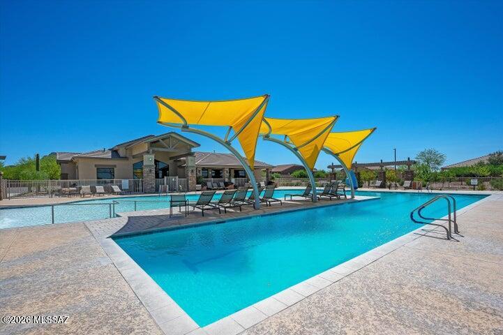Saguaro Bloom SQ20180540069 - Residential