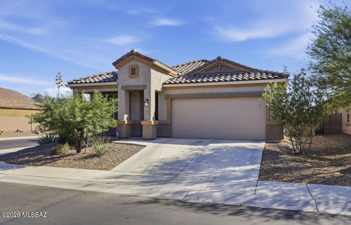 Saguaro Bloom SQ20180540069 - Residential