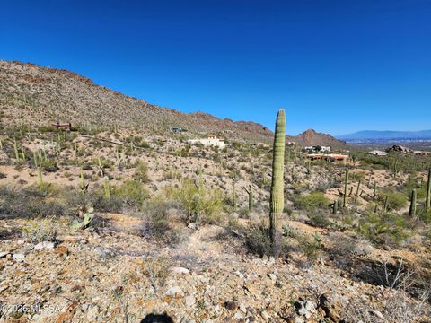 6400 W Lost Canyon Drive 13 Tucson AZ 85745