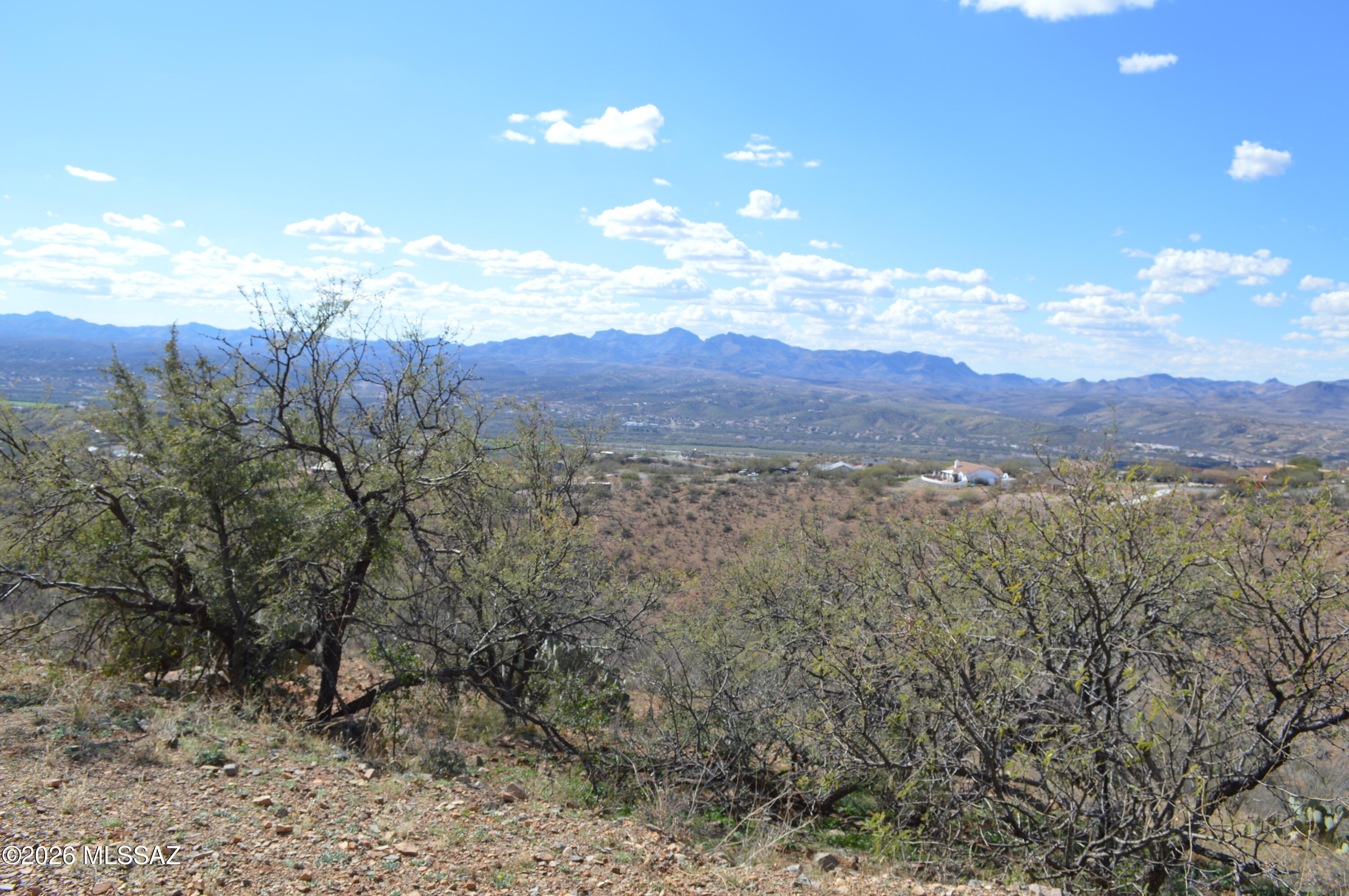 Rio Rico Ranchettes - Land
