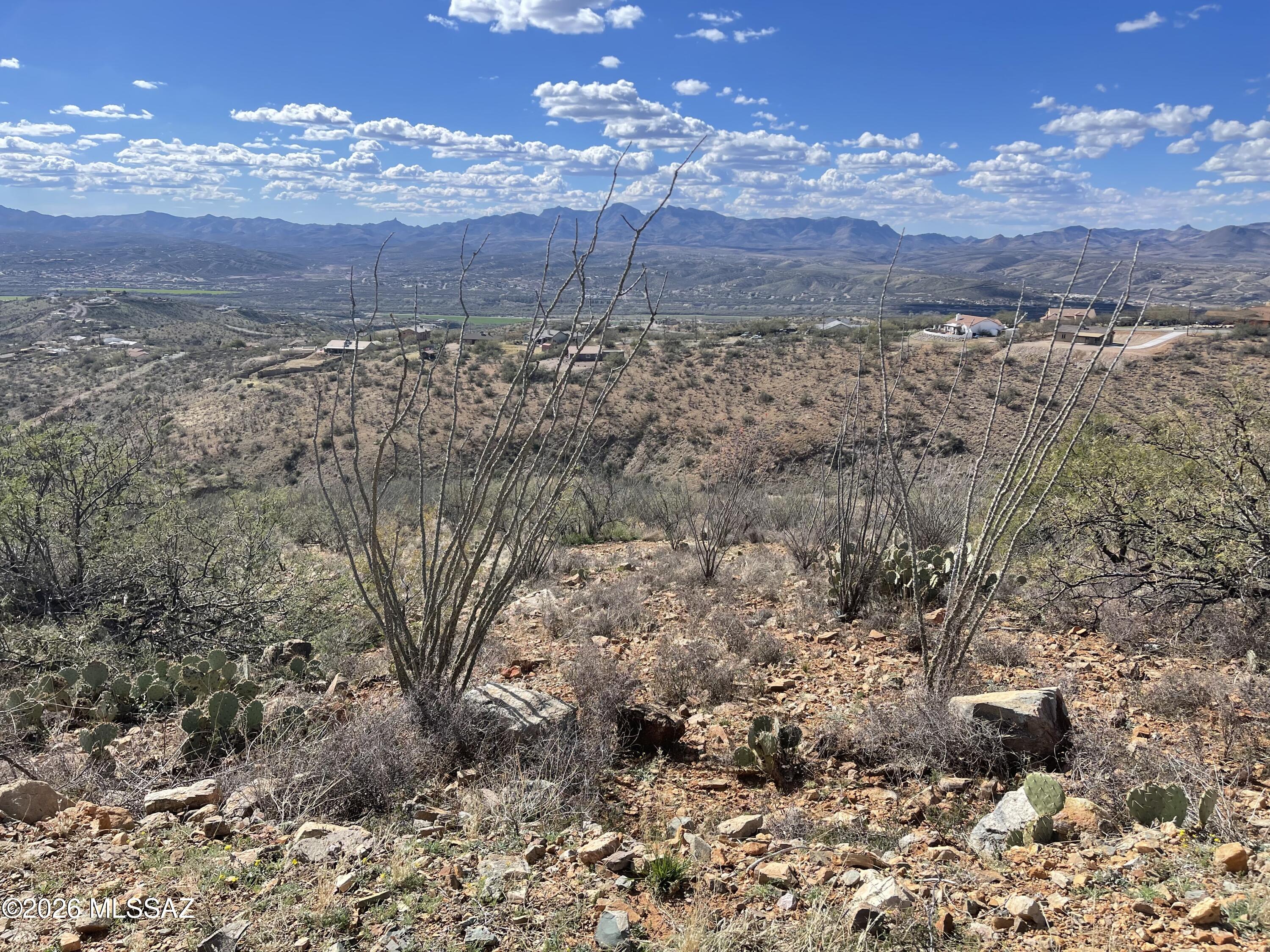 Rio Rico Ranchettes - Land
