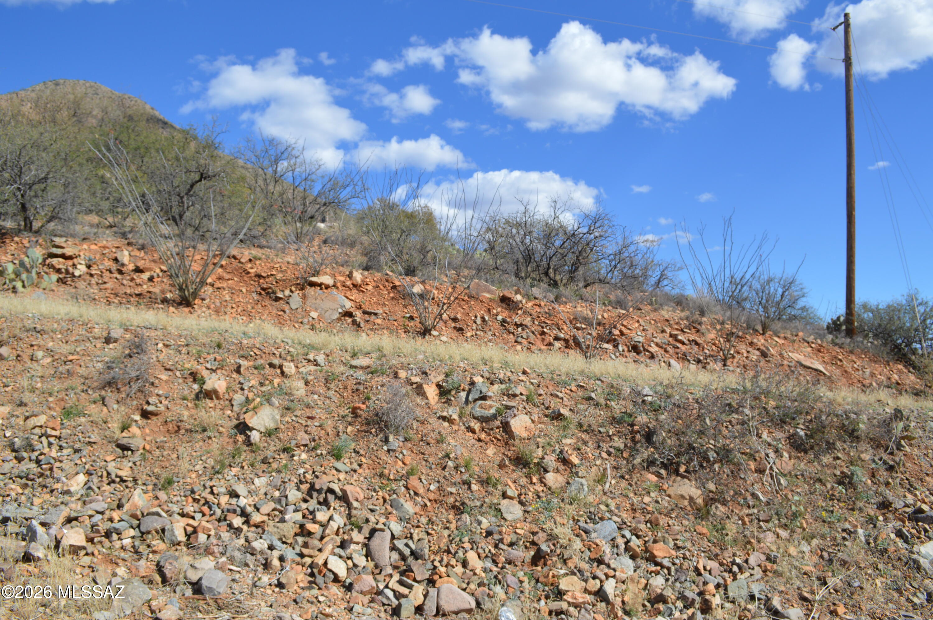 Rio Rico Ranchettes - Land