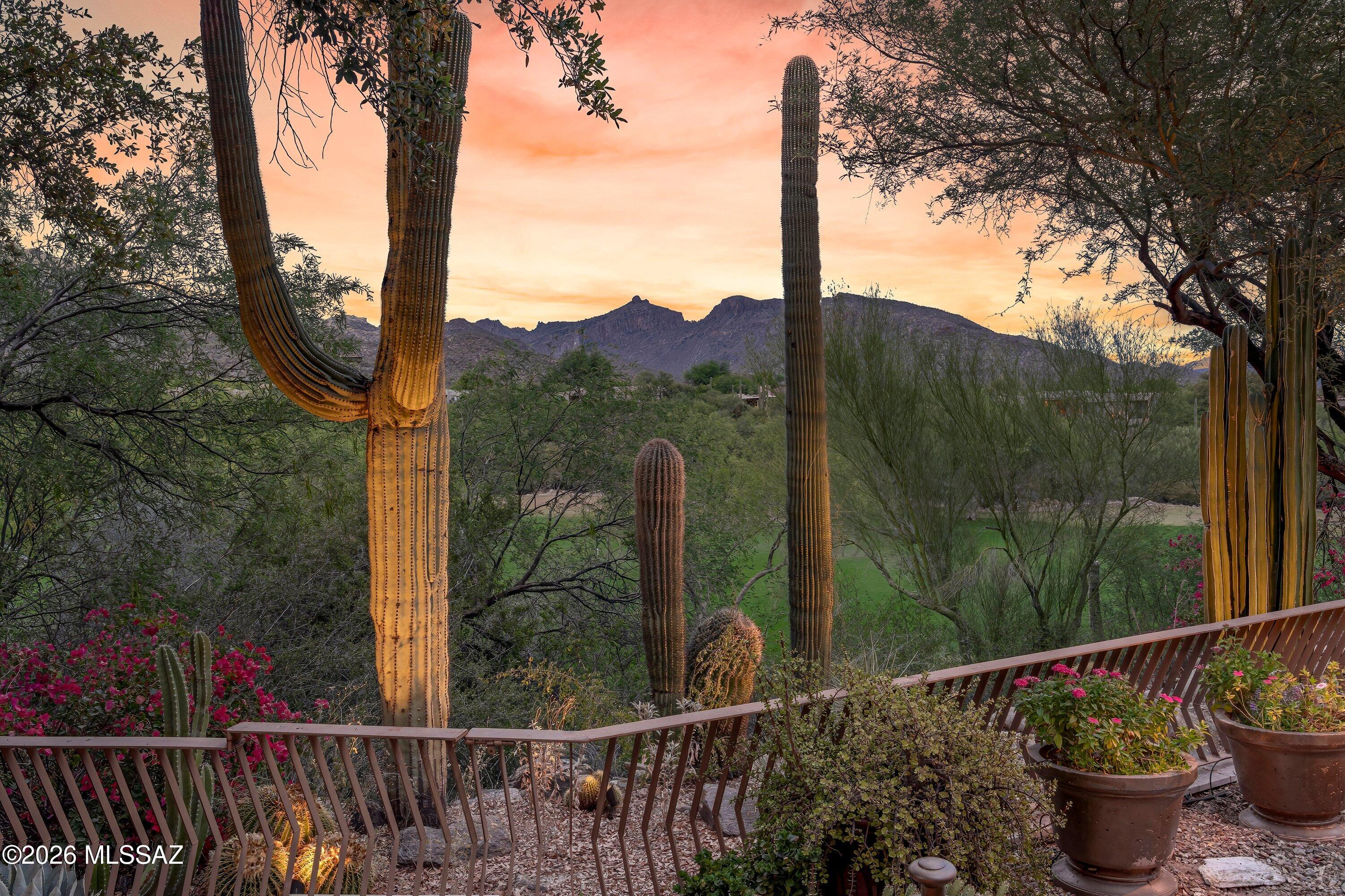 6200 N Desert Moon Loop