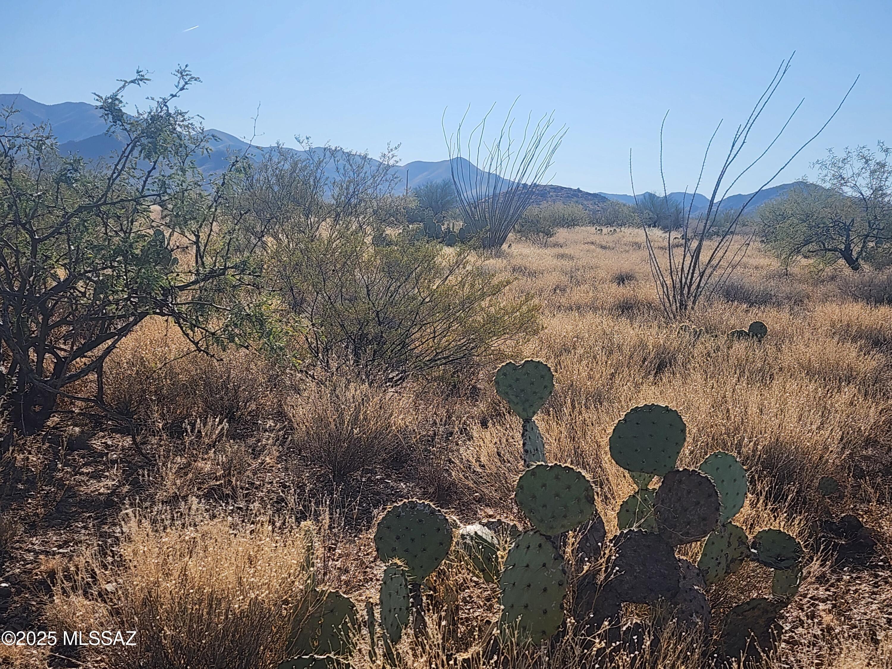 New Tucson Unit NO. 28 - Land