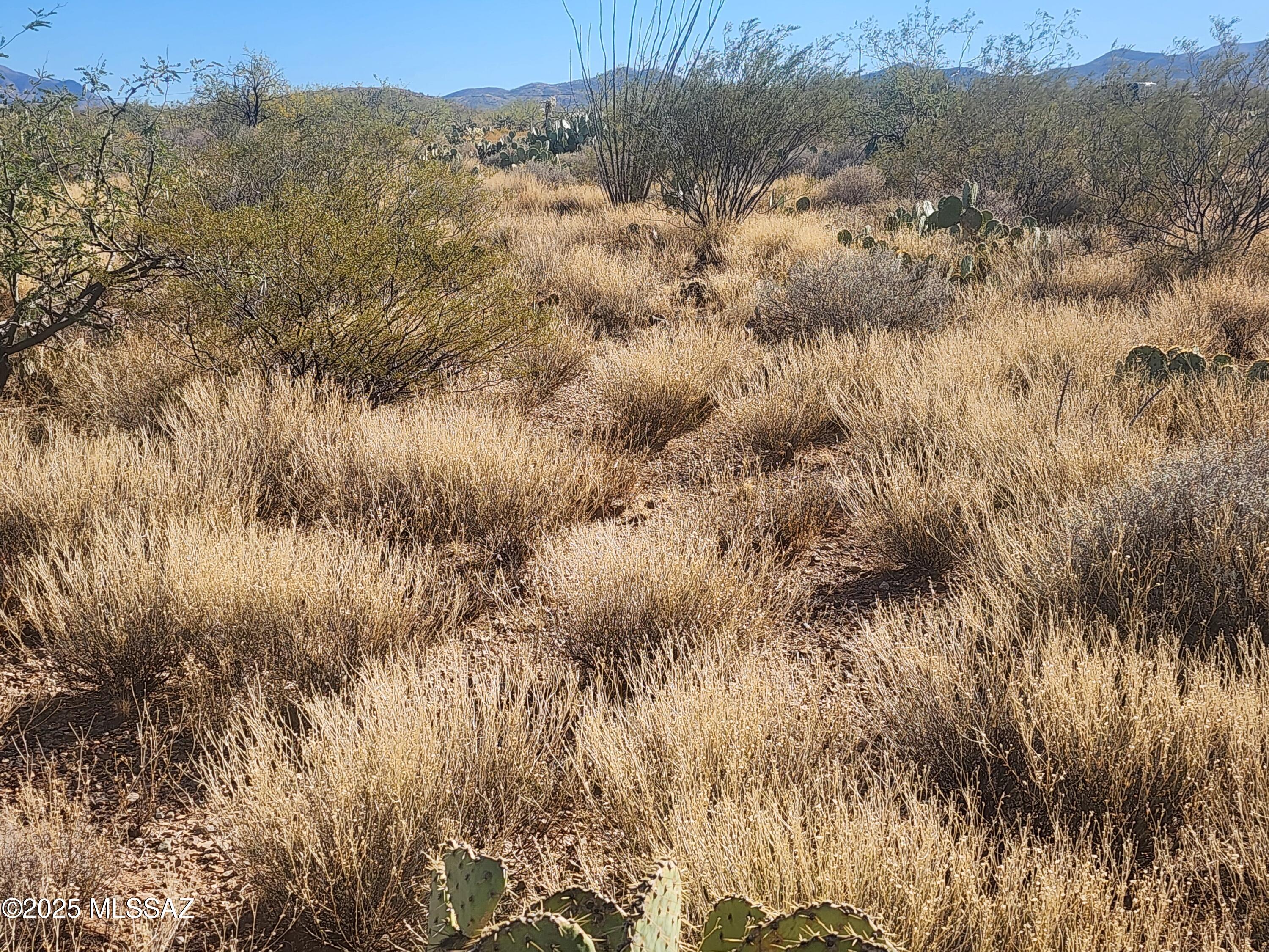 New Tucson Unit NO. 28 - Land