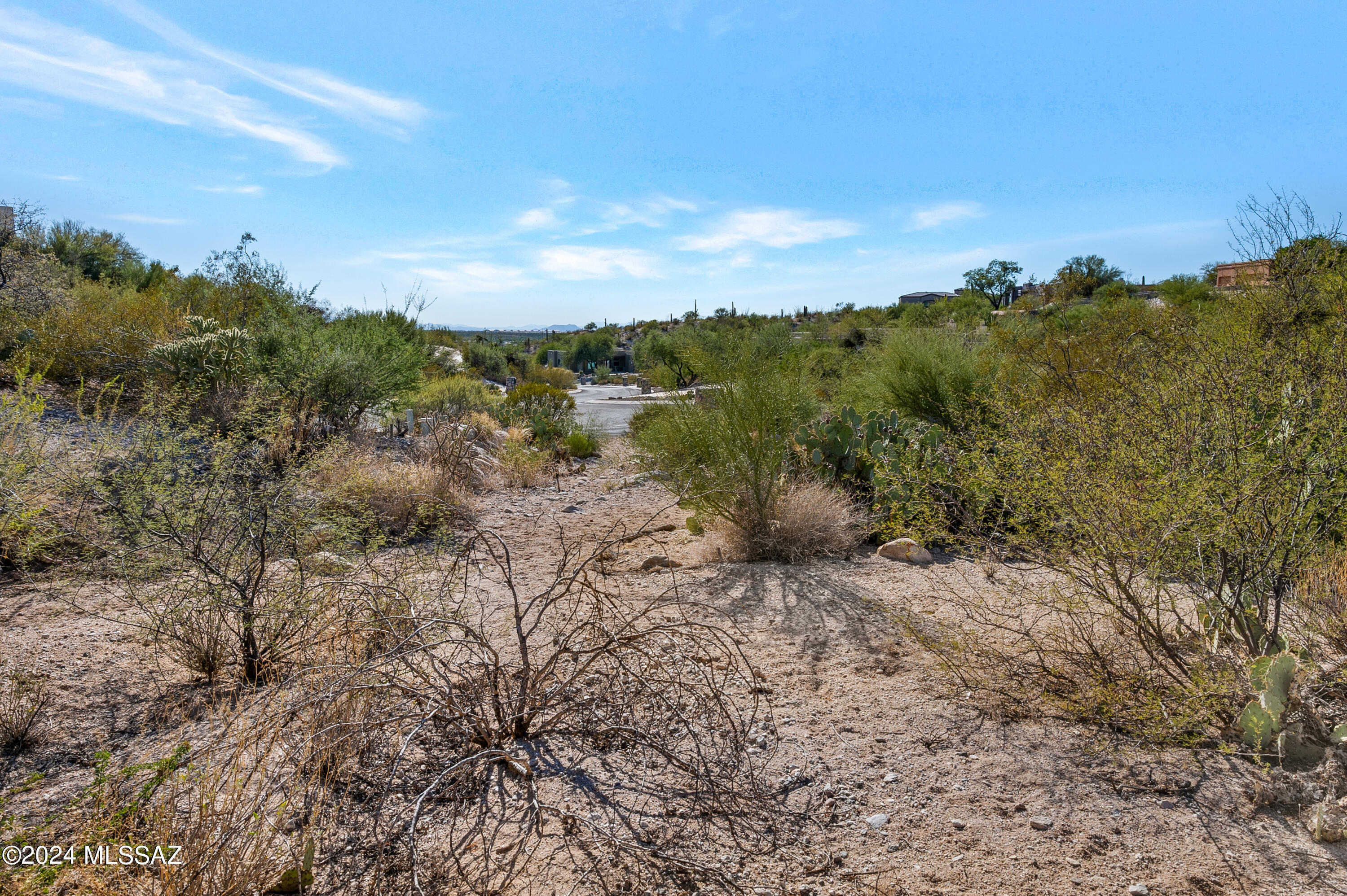 10845 E Placita Merengue 140