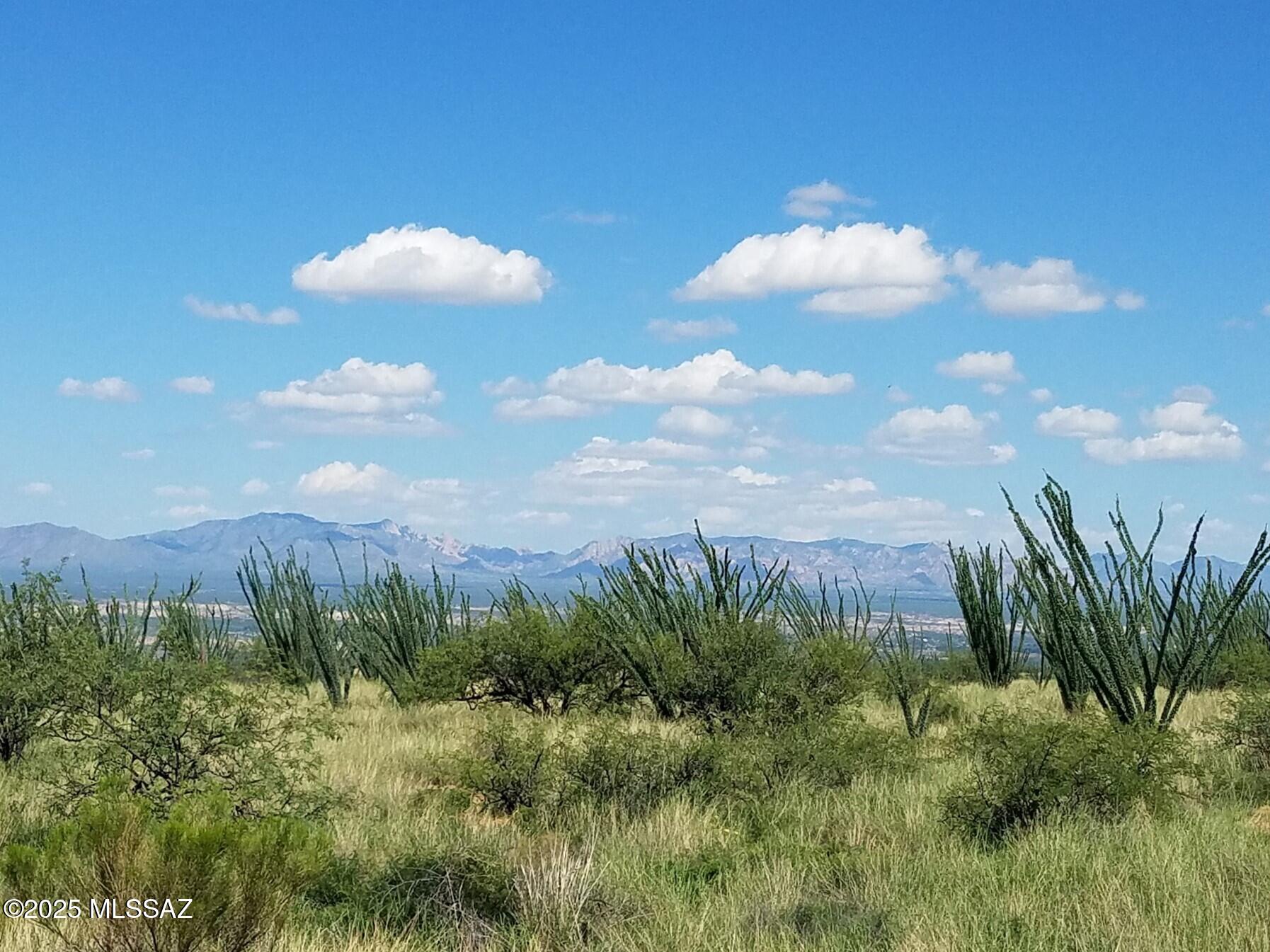 S Canyon Overlook Trail