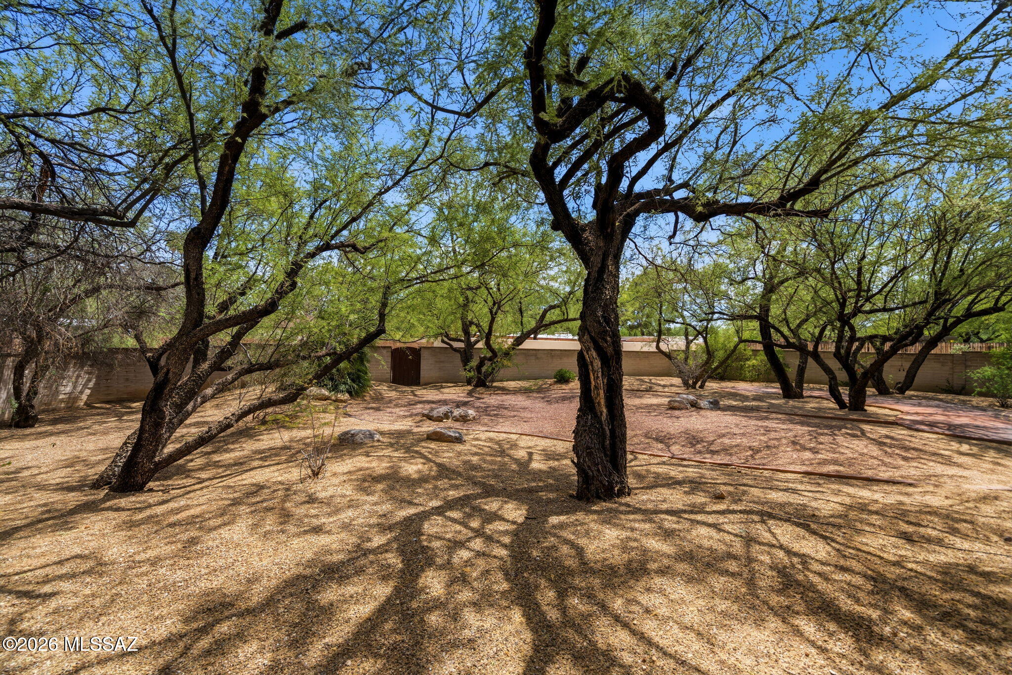 Sabino Vista South (1-79) - Residential